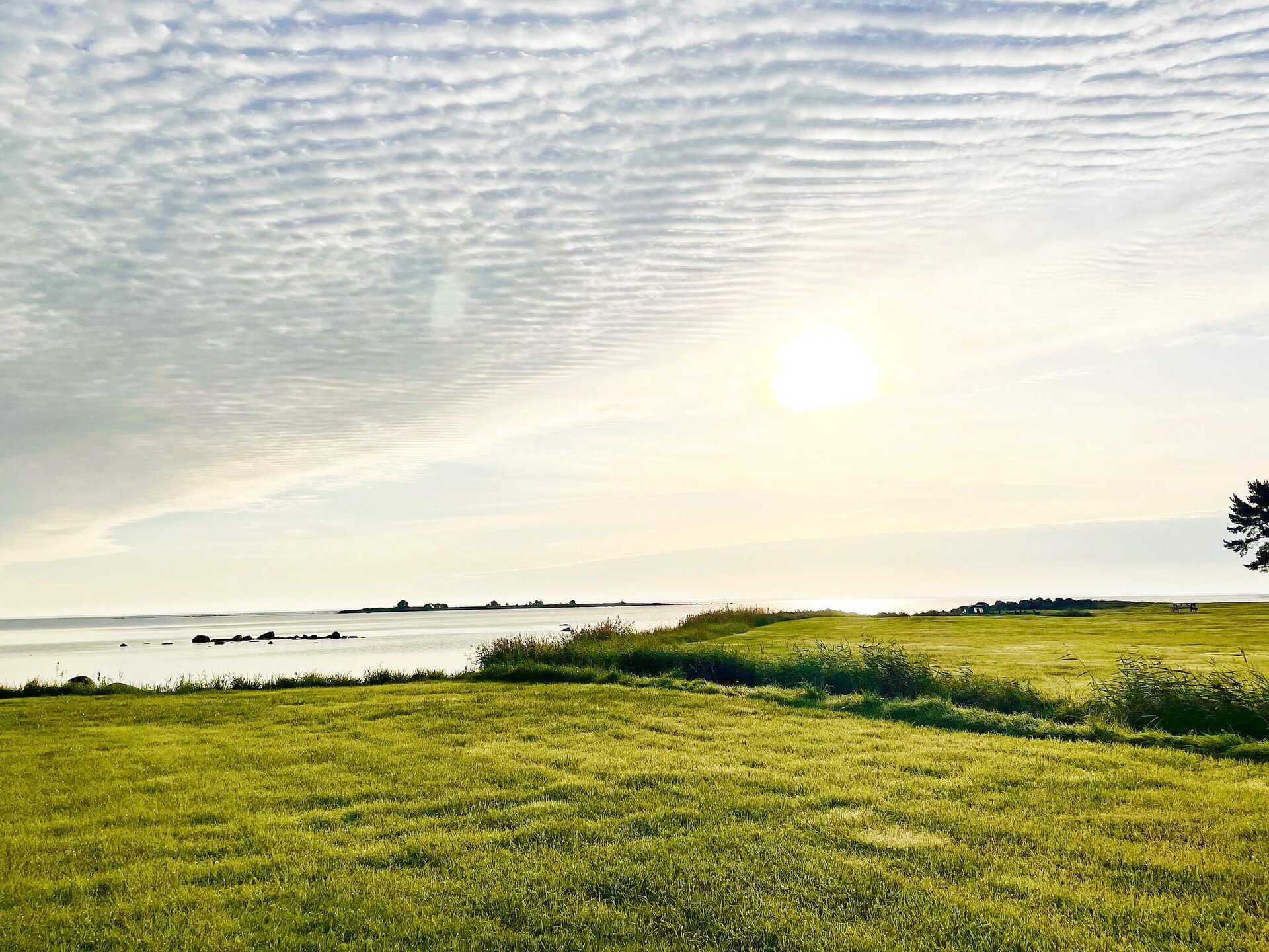 Vrijstaande stuga aan zee in Skäppevik met gastenverblijf en zeezicht - foto 10