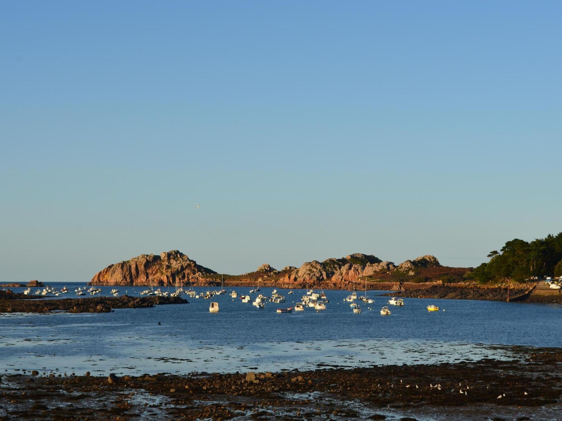 Studio met zeezicht in Plougasnou, vlakbij strand en baai - foto 15