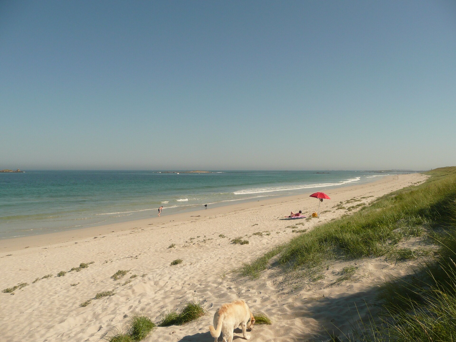 Vrijstaand vakantiehuis op 350m van strand en GR34 in Guissény - foto 14