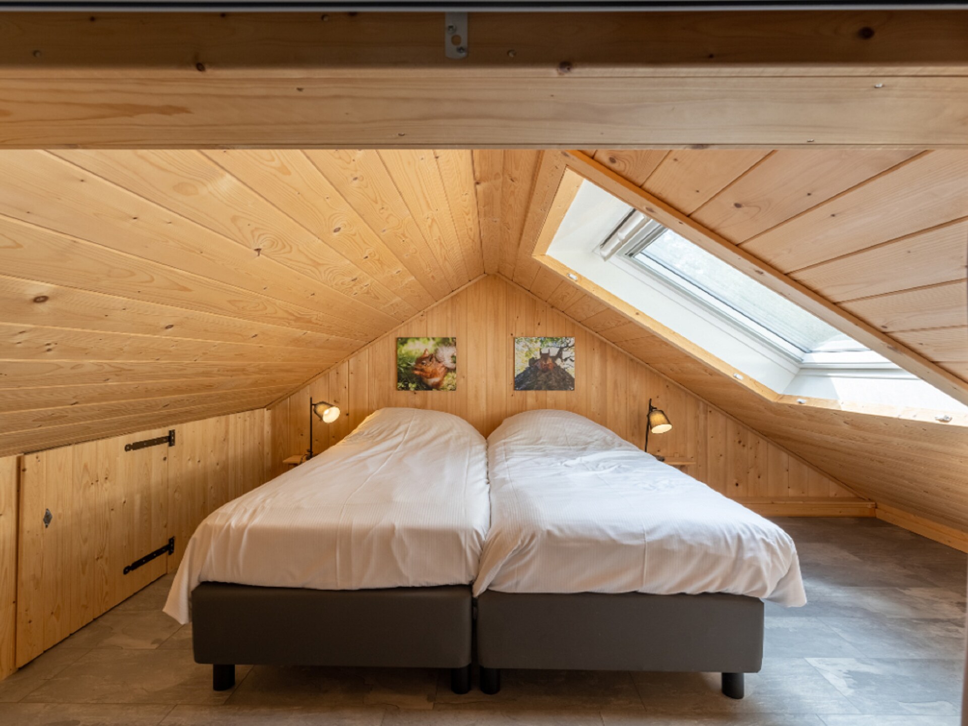 Boslodge met vide aan rustig water | Hoenderloo | Huisdieren welkom - foto 14