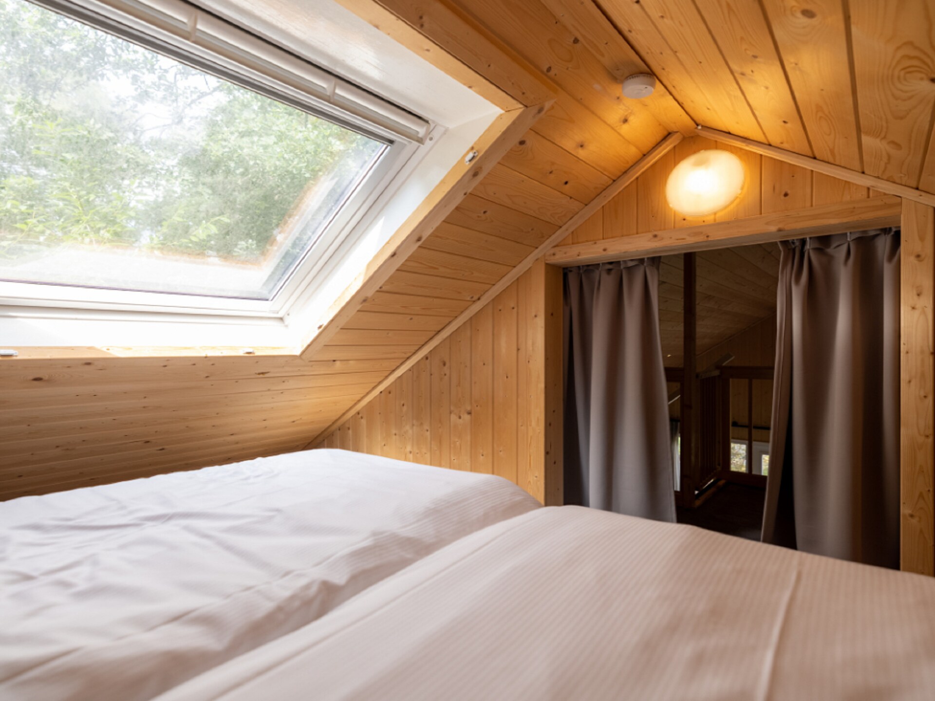 Boslodge met vide aan rustig water | Hoenderloo | Huisdieren welkom - foto 15