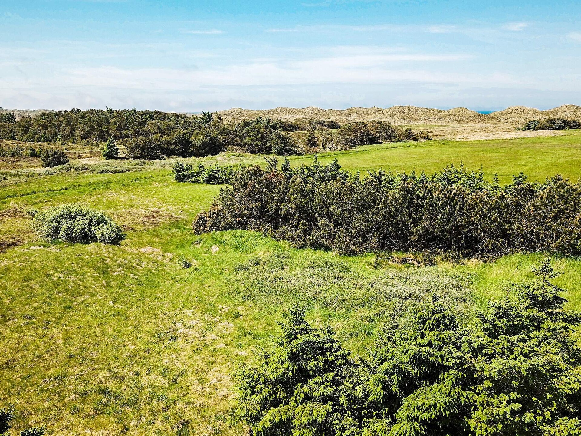Ruim vakantiehuis met sauna en panoramisch uitzicht op de heide bij Vorupør - foto 6