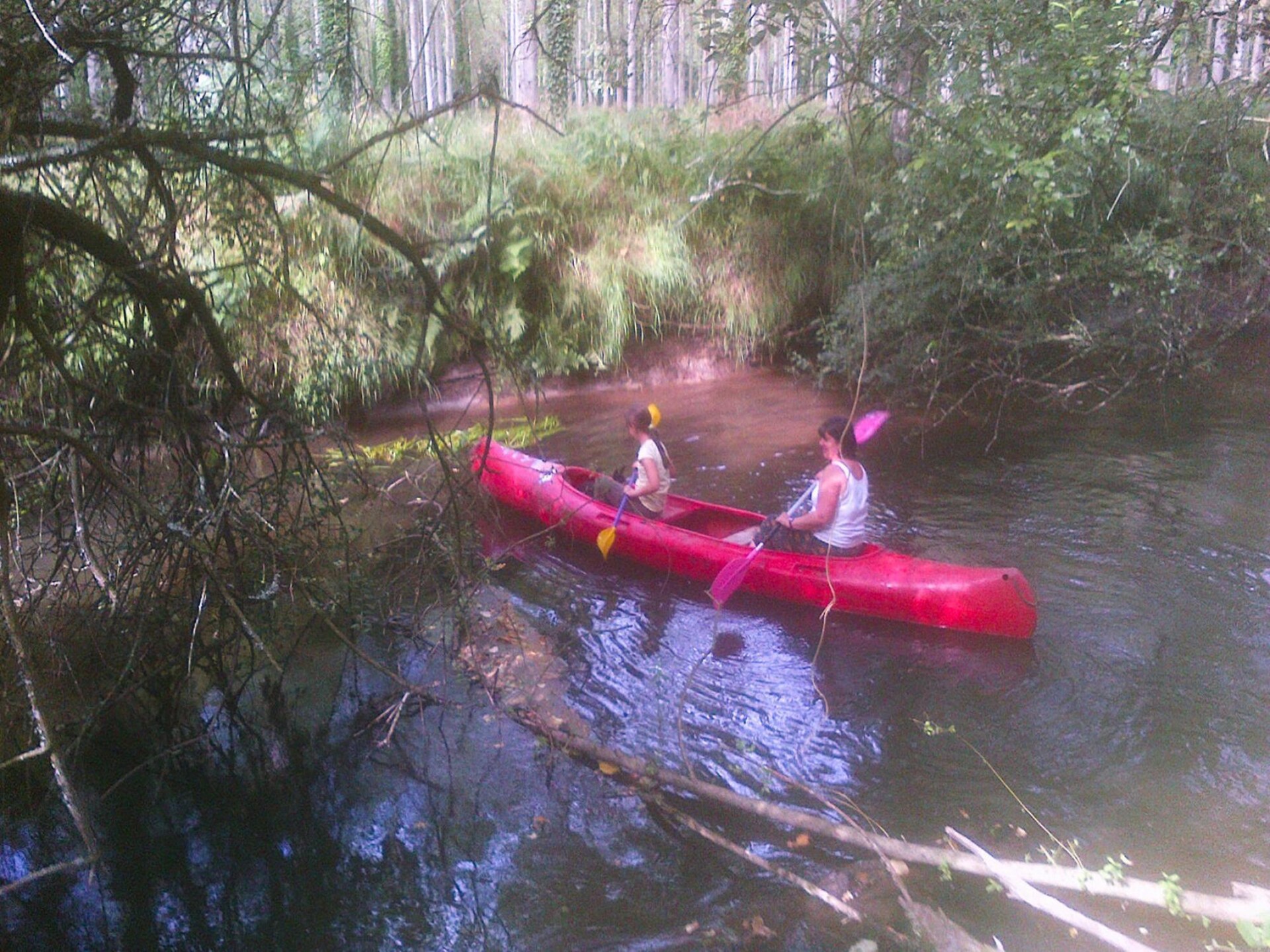 Vrijstaand vakantiehuis aan de rivier met kano en boomhut in Langoat - foto 3