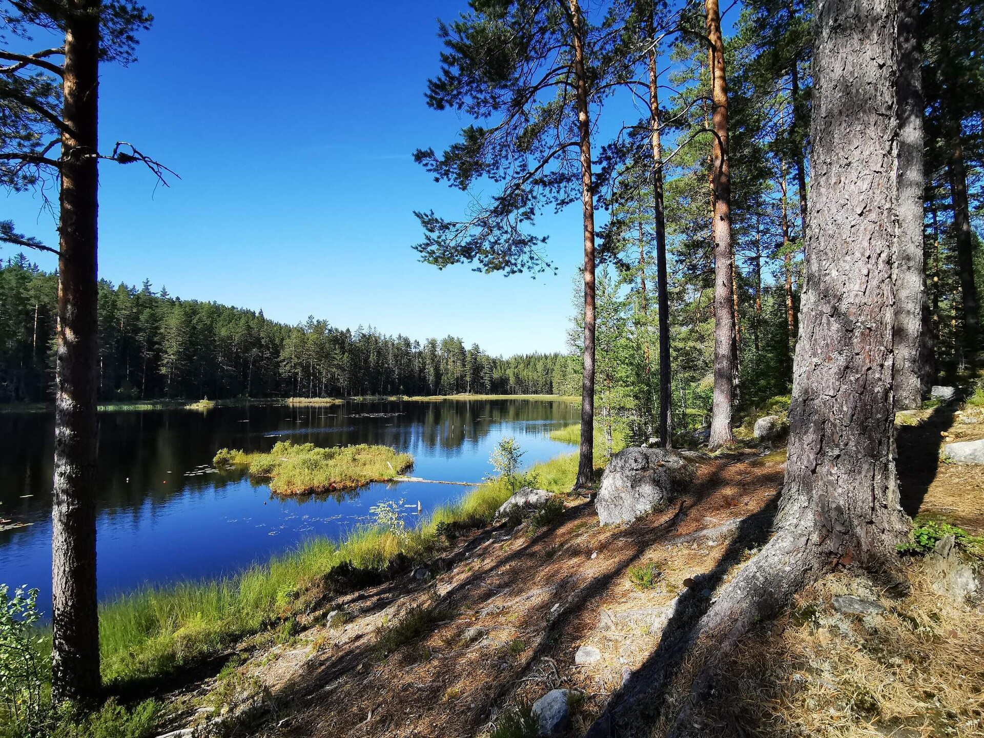 Modern vakantiehuis in Bergslagen met panoramisch uitzicht en golfbaan - foto 15