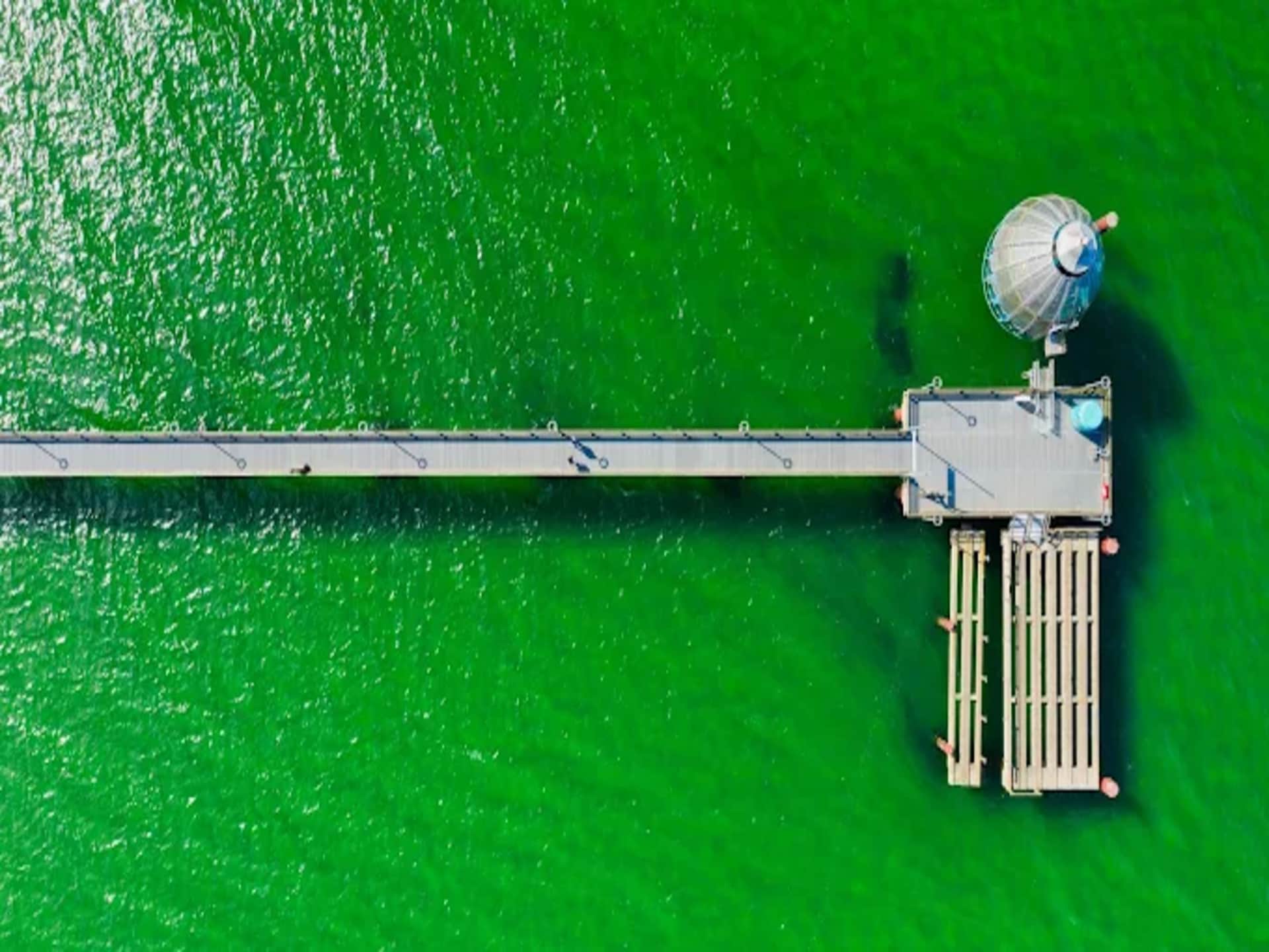 Aan zee: Ruim appartement in Zingst voor 4 personen - foto 31