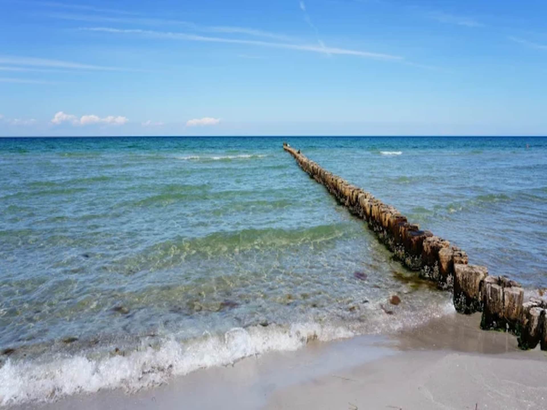 Aan zee: Ruim appartement in Zingst voor 4 personen - foto 23