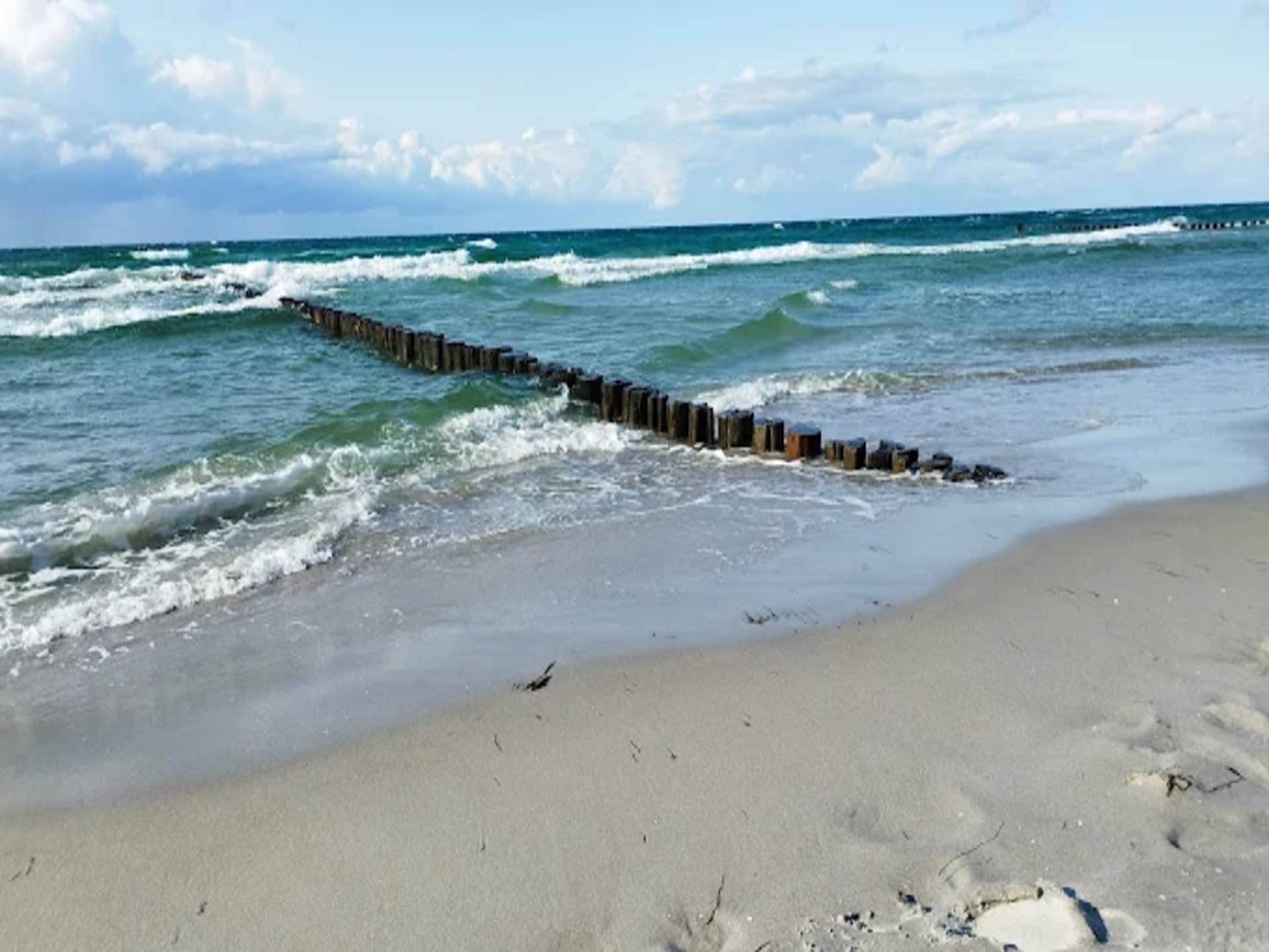 Aan zee: Ruim appartement in Zingst voor 4 personen - foto 24