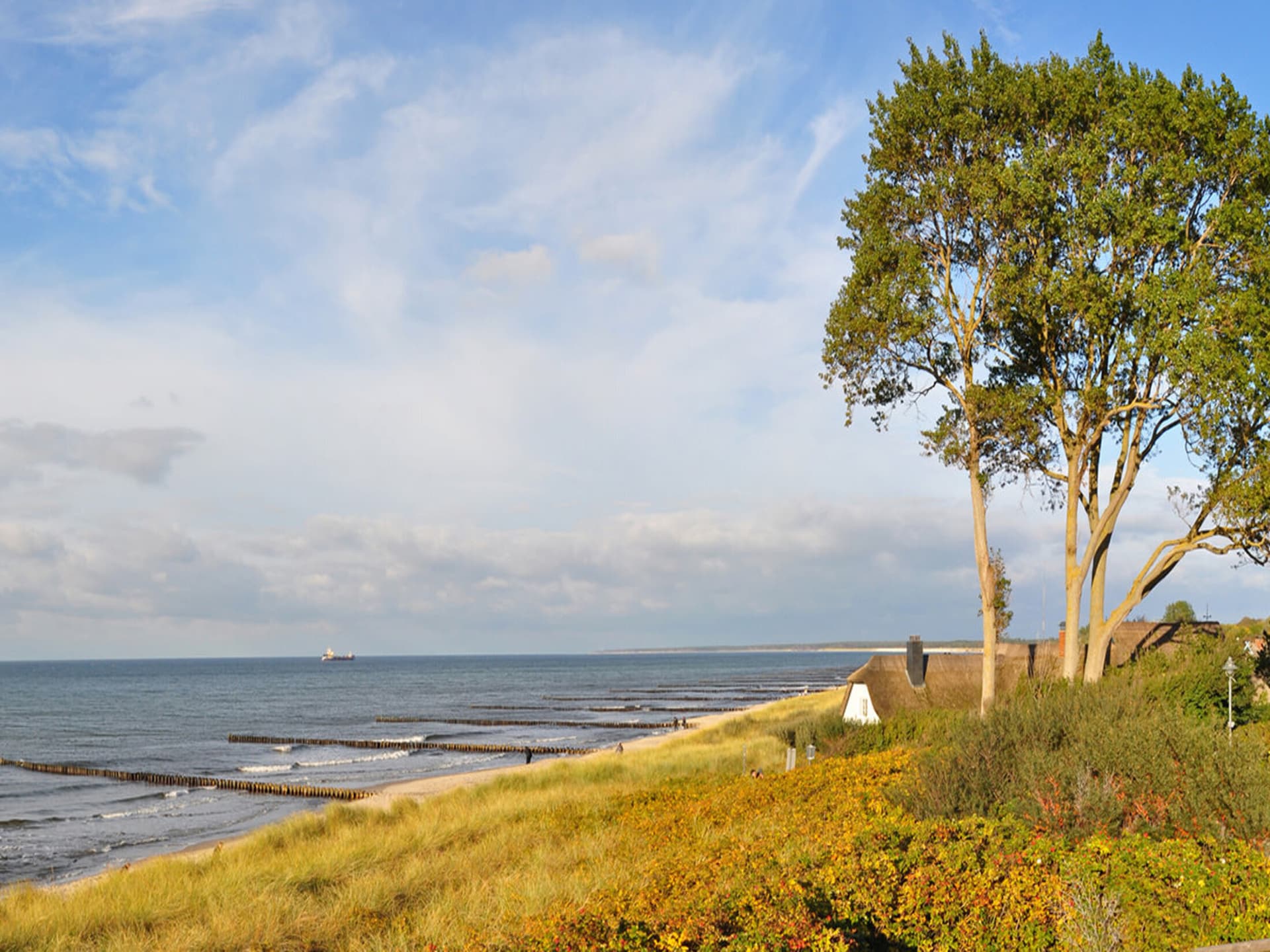 Strandappartement op de bovenste verdieping, 150m van de Oostzee in Zingst - foto 16