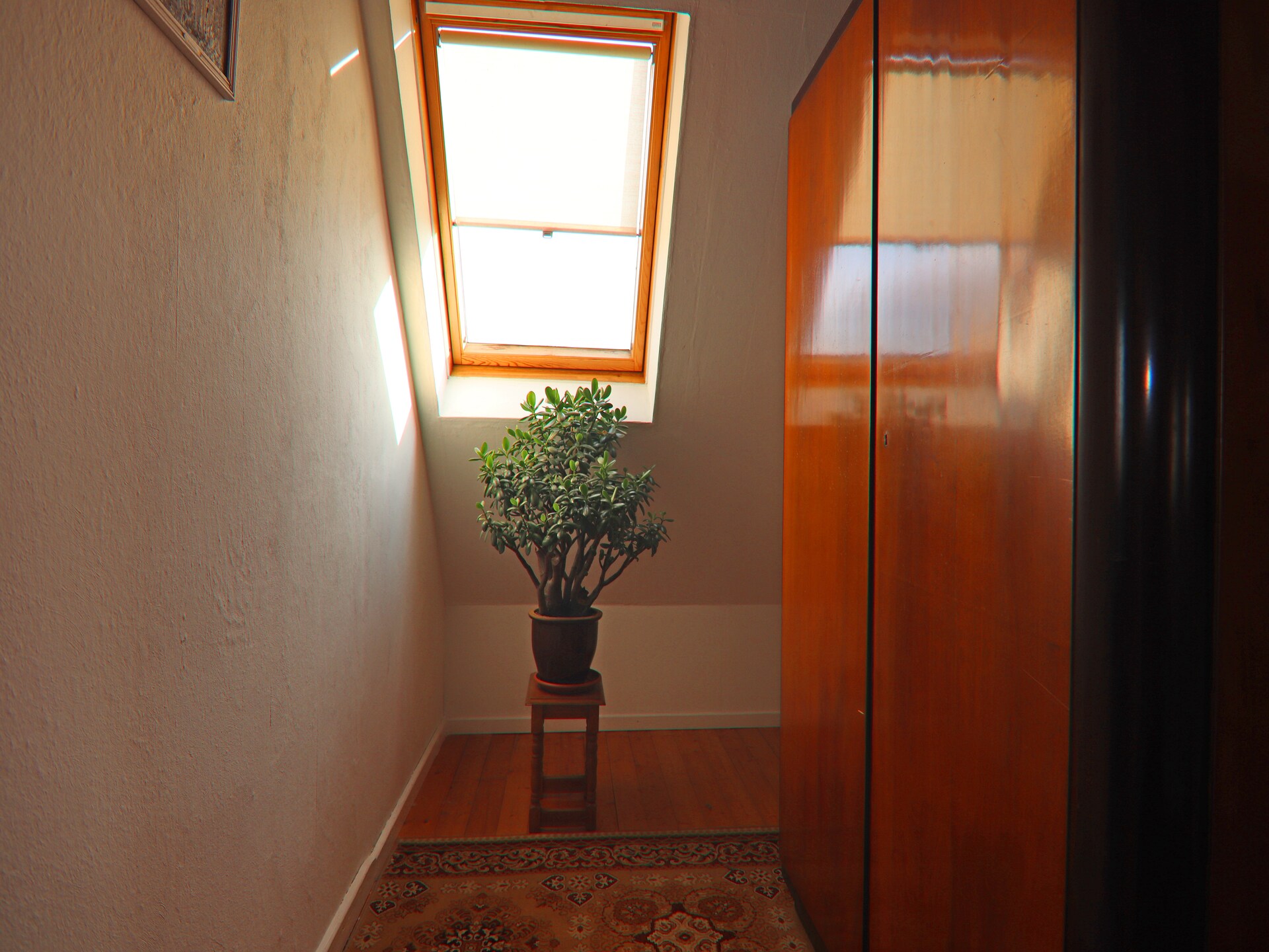 Rustiek appartement met grote tuin in Mallentin, nabij Lübeck en de Oostzee - foto 21