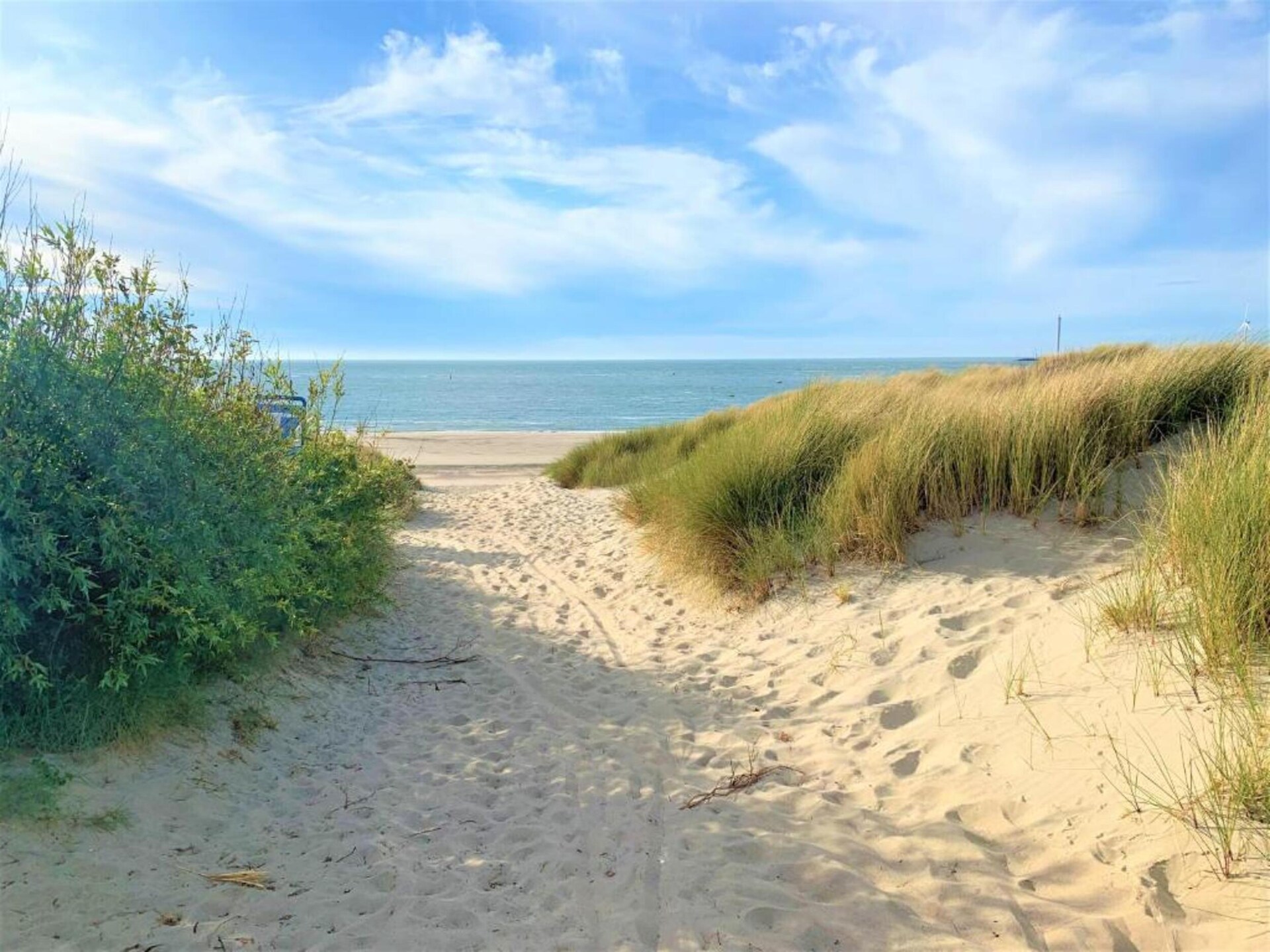 Gerenoveerde rietgedekte villa op 1 km van het Noordzee-strand - foto 35