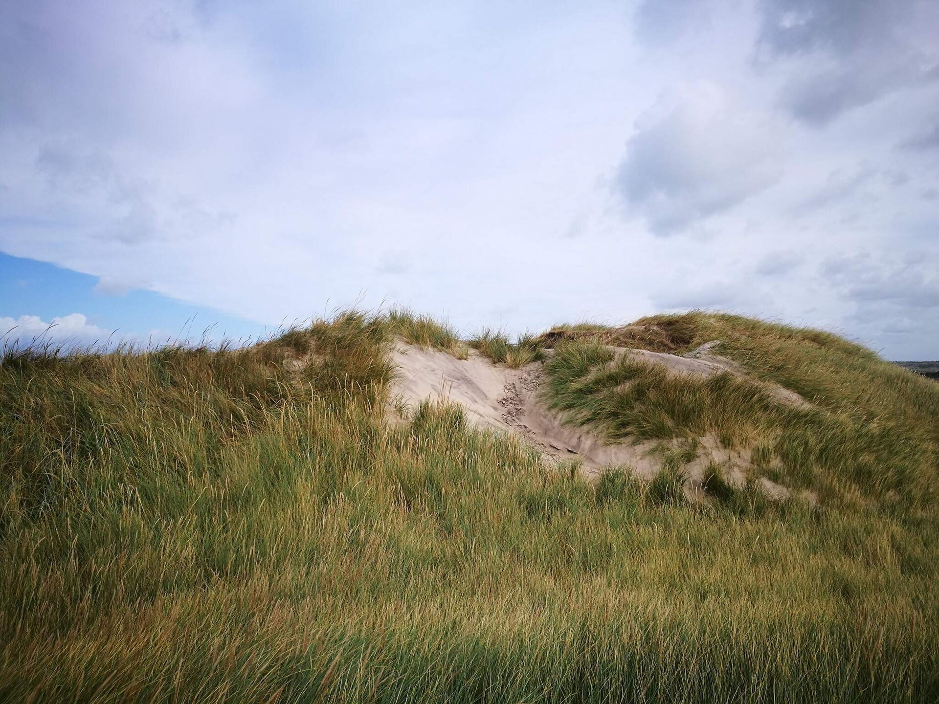 Knus rietgedekt vakantiehuis op 200 meter van de zee bij Hjørring - foto 4
