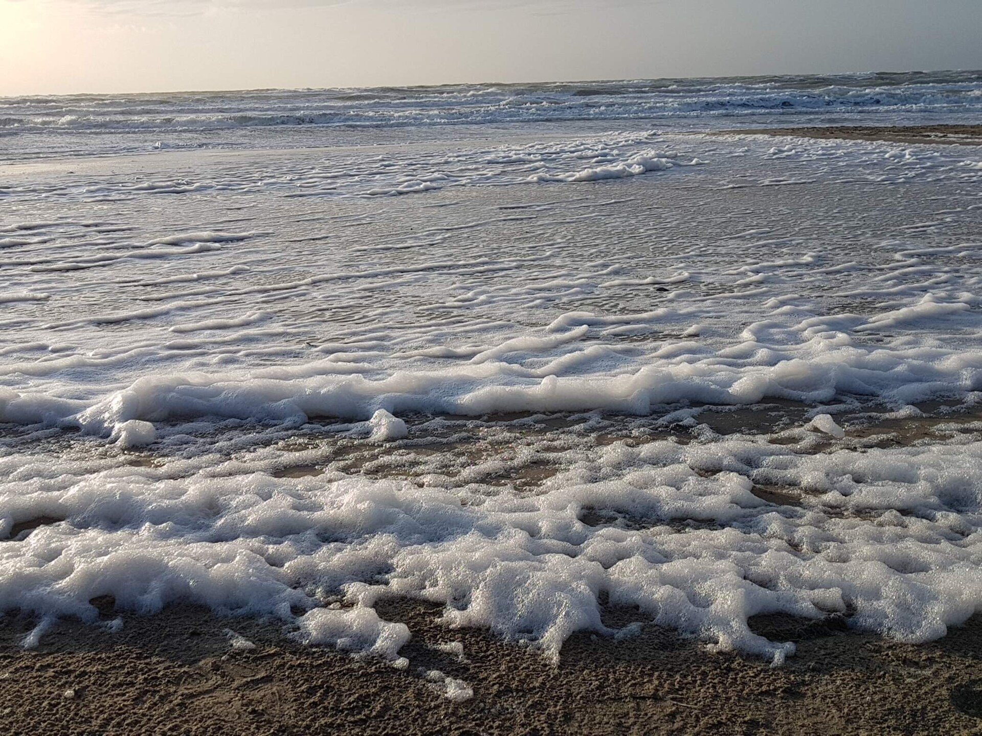Knus rietgedekt vakantiehuis op 200 meter van de zee bij Hjørring - foto 12