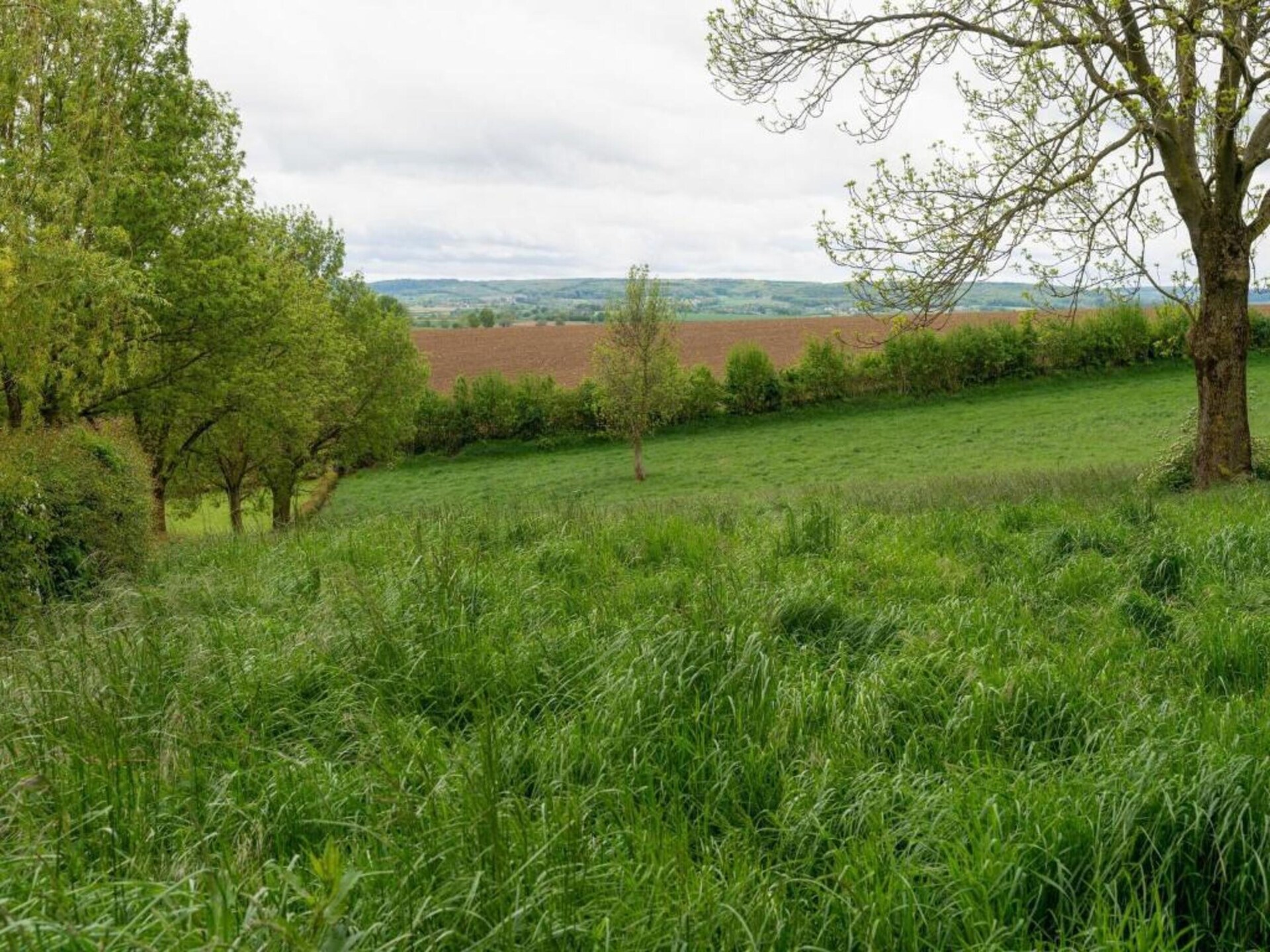 Valleyview Cottages: Landhuis met panoramisch uitzicht in Voerendaal - foto 32