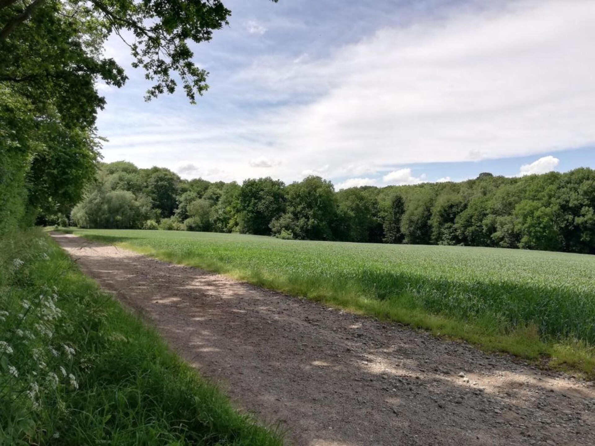 Valleyview Cottages: Landhuis met panoramisch uitzicht in Voerendaal - foto 34