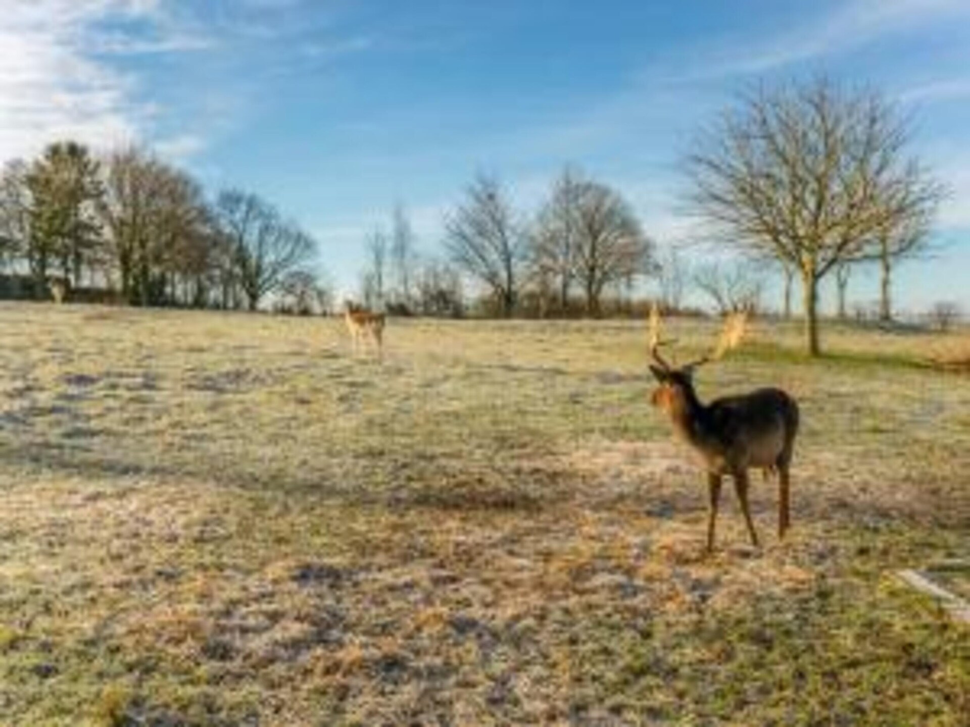 Valleyview Cottages: Landhuis met panoramisch uitzicht in Voerendaal - foto 36