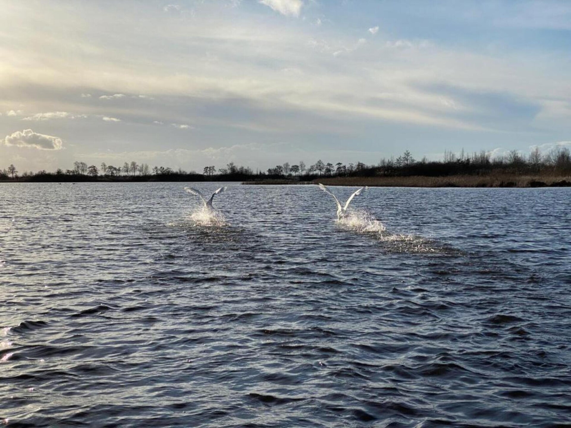 Vrijstaand chalet aan het water in Venetië van het Noorden - foto 40