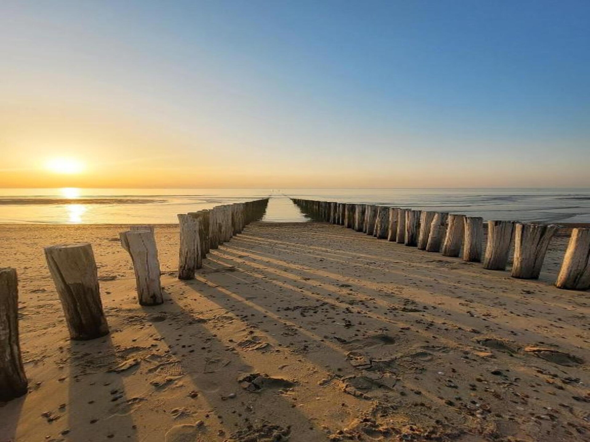 Huisdiervriendelijk chalet op loopafstand van het Noordzeestrand in Kamperland - foto 32