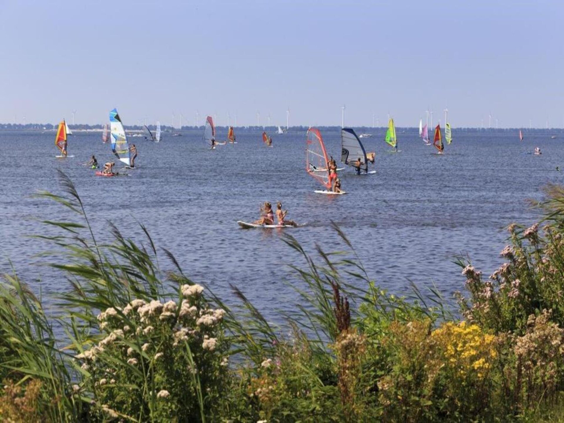 De Trots van de Konijnenberg: luxe chalet voor 8 personen in Harderwijk - foto 31
