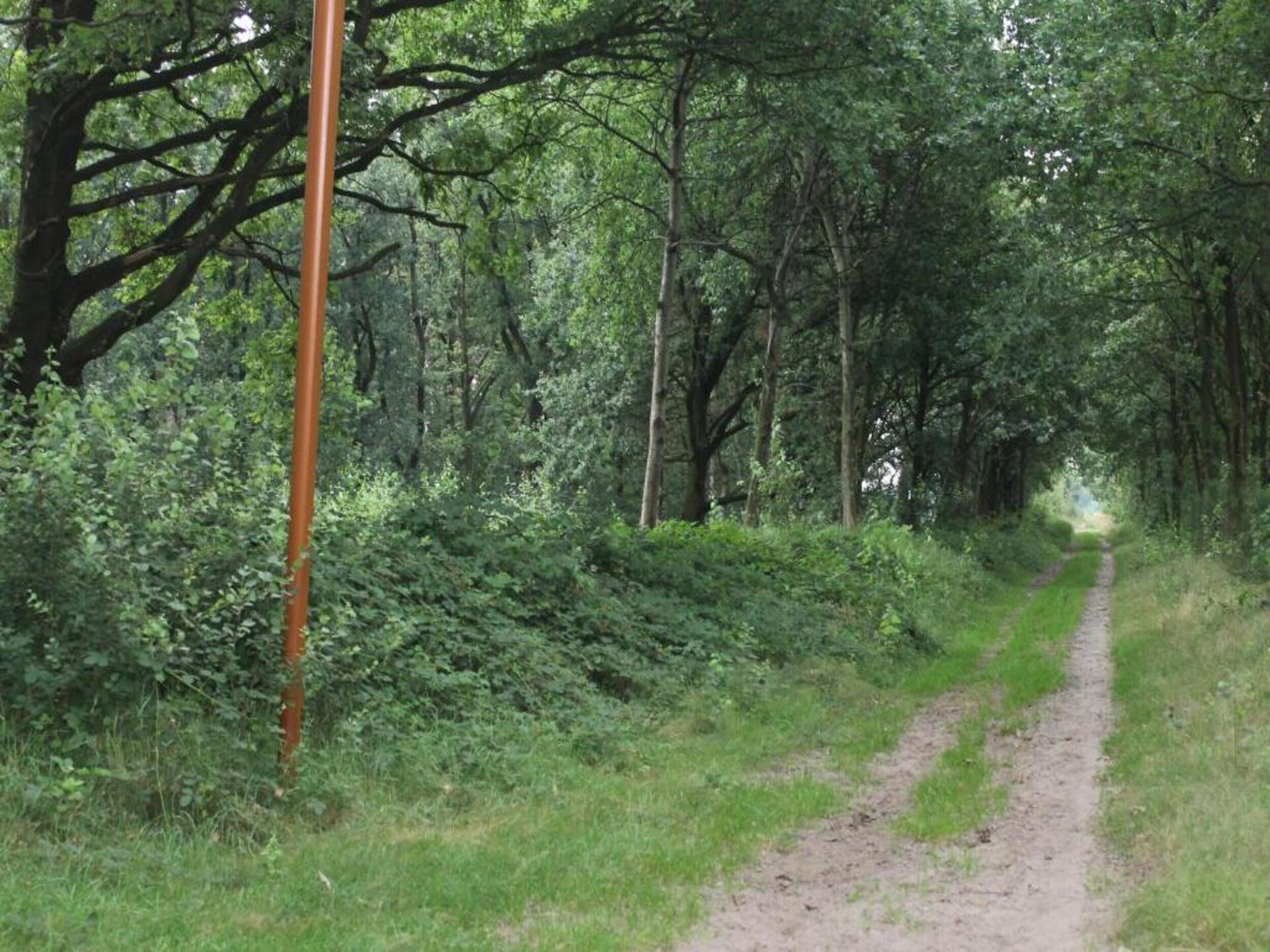 Ruime bosvilla voor 8 personen op Vakantiepark de Katjeskelder - foto 20