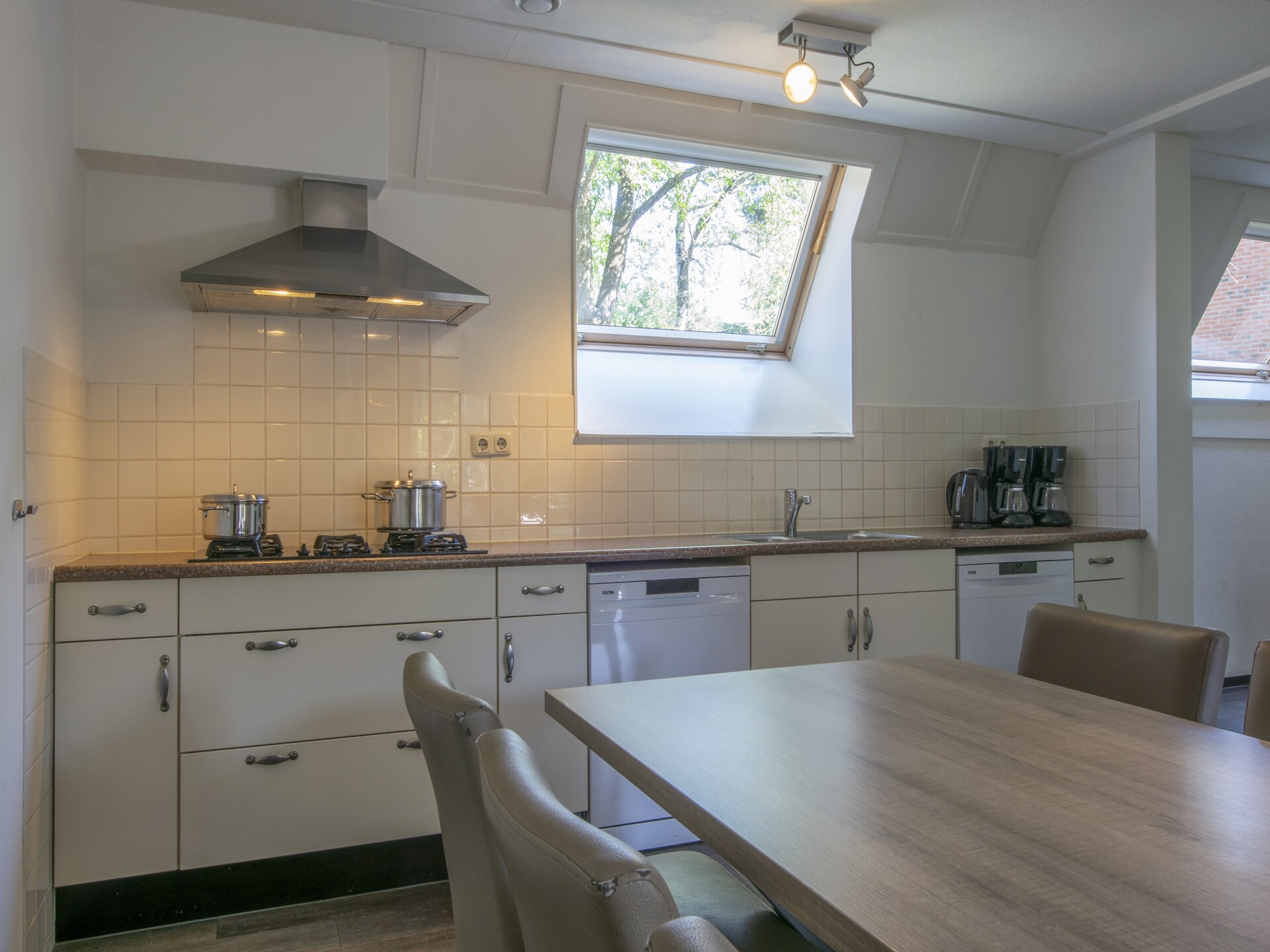 Villa De Katjeskelder 18: Luxe groepsaccommodatie met sauna in Oosterhout - foto 3