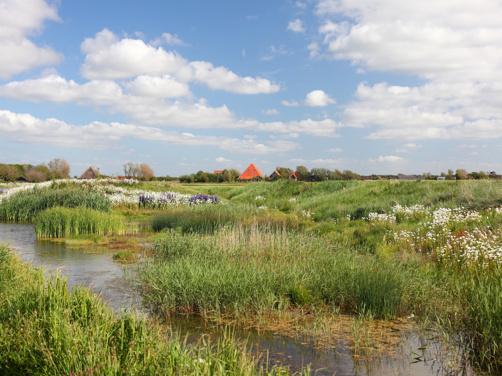 Knus strandchalet op autovrij park Callassande, 1 km van zee - foto 19