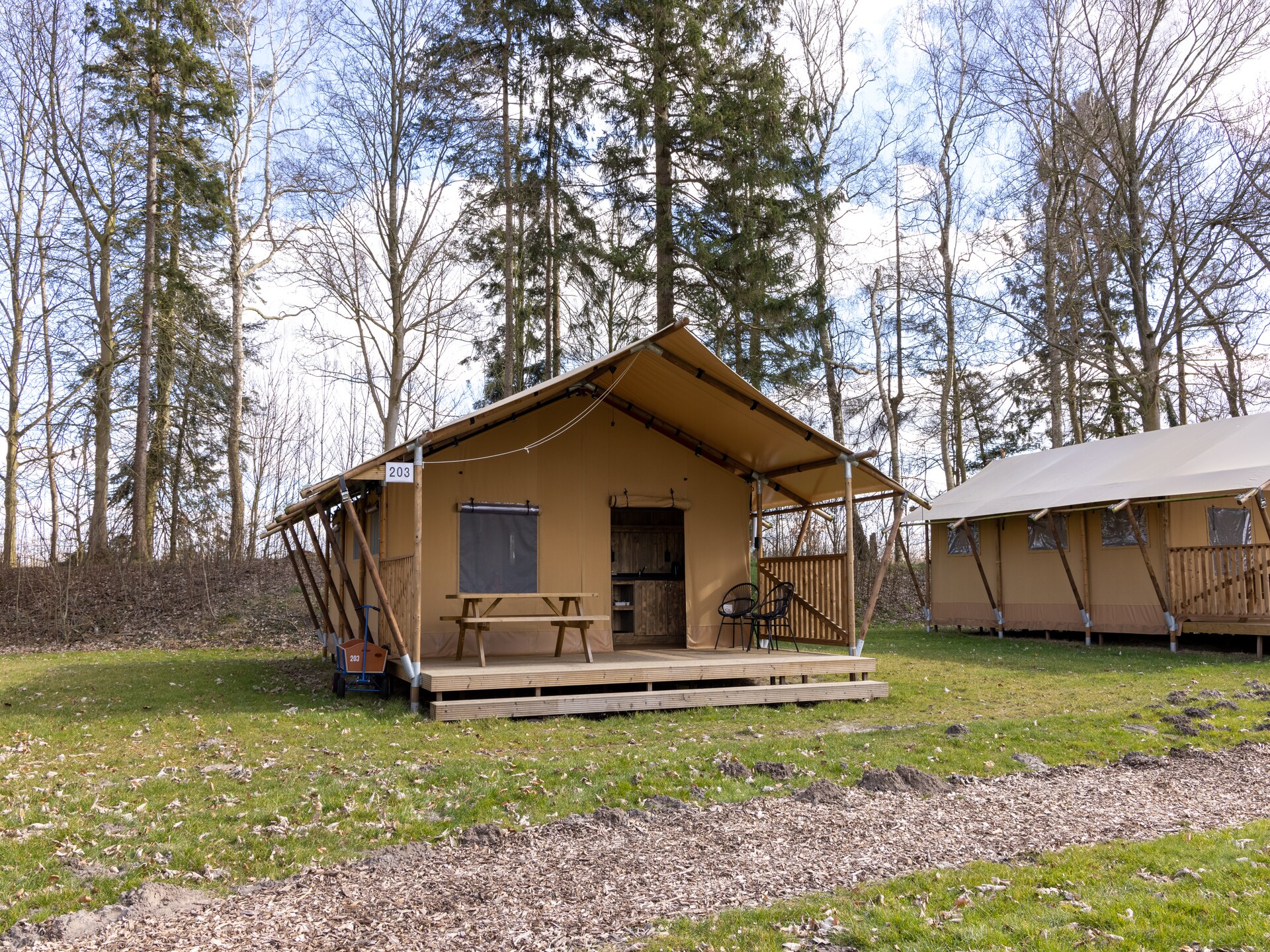 Glamping tentlodge met zwembad op bosrijk Hunzepark in Drenthe - foto 13