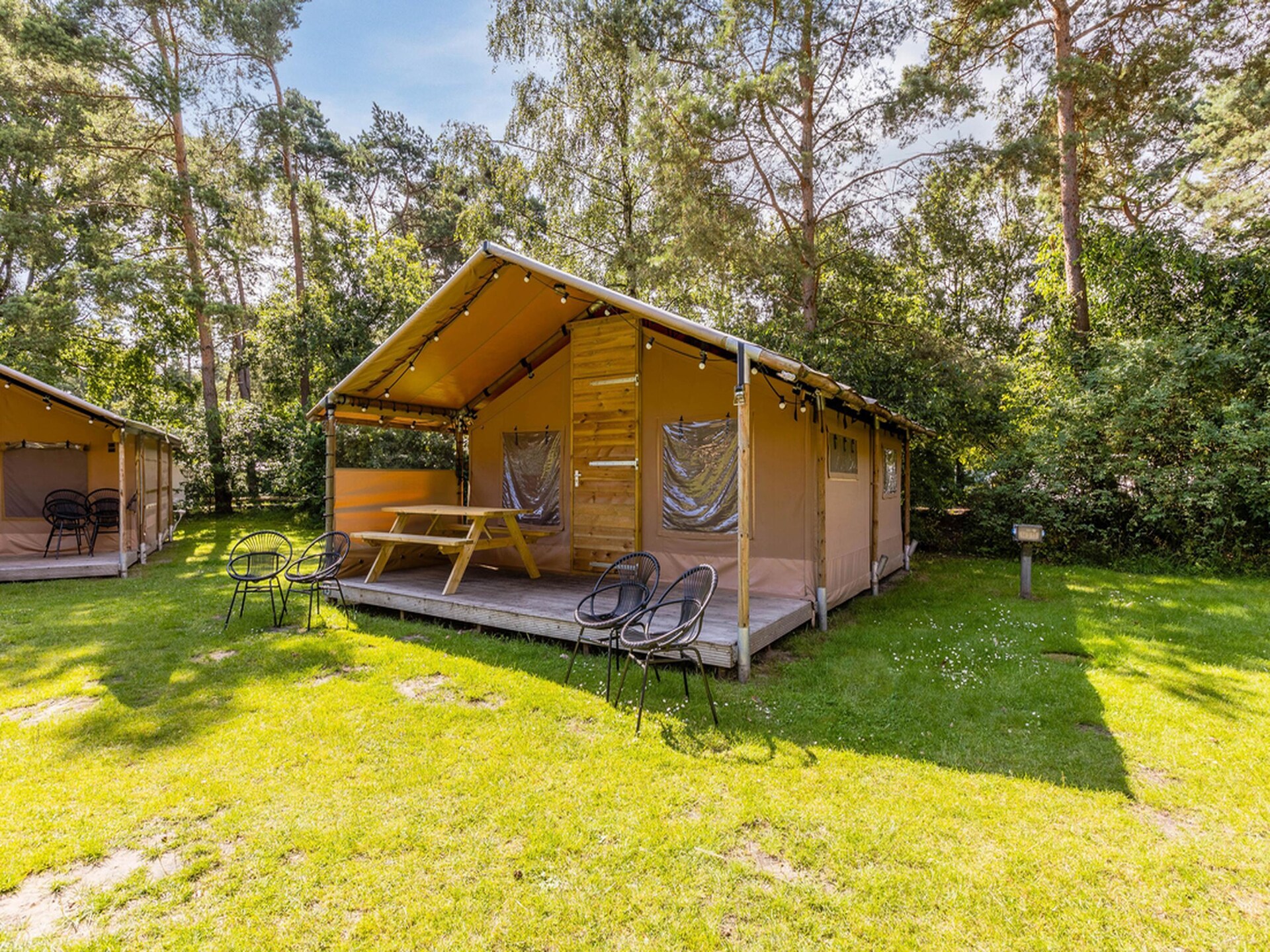 Knusse safaritent voor 4 personen in Oosterhout - foto 36