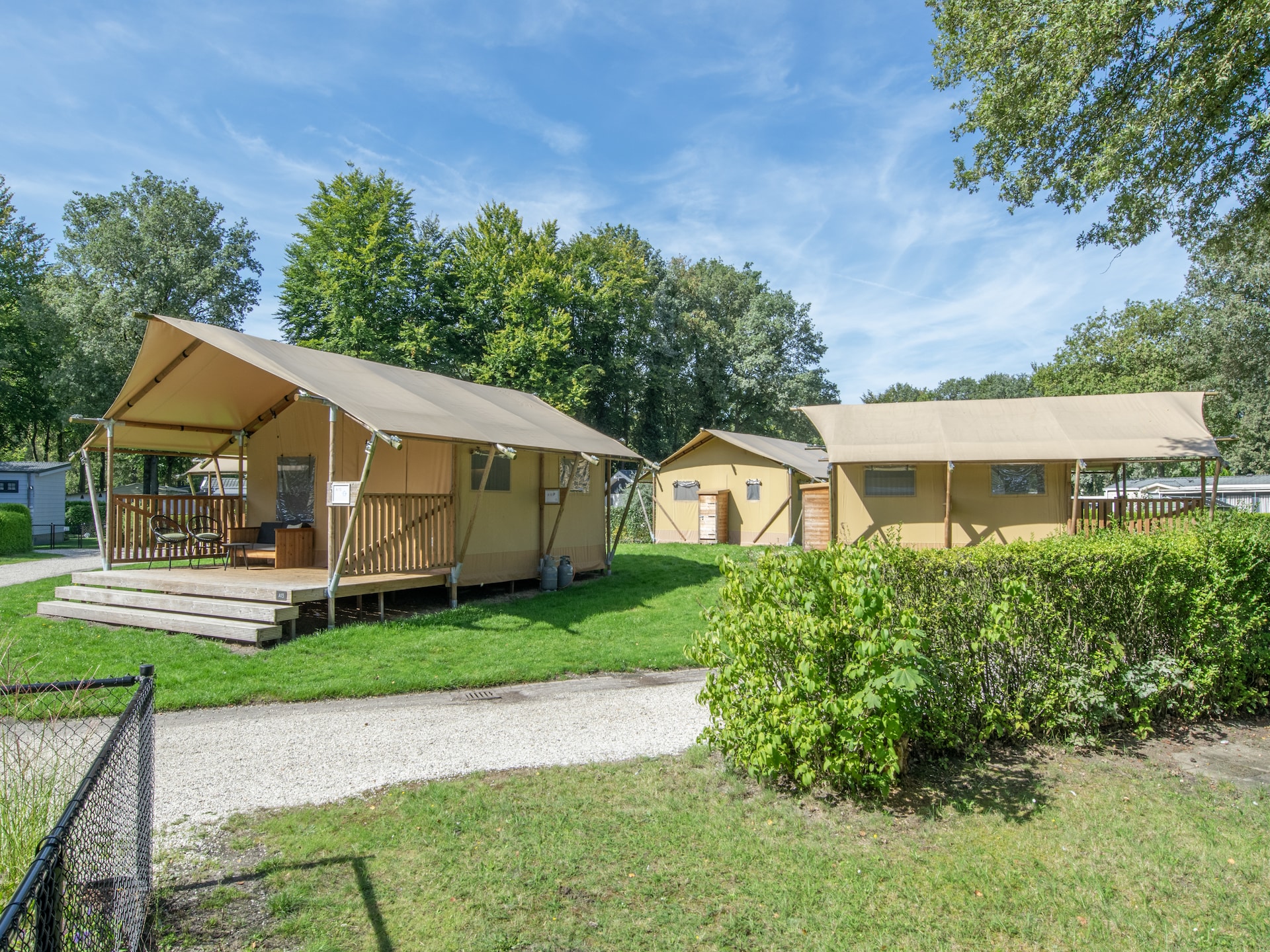 Glamping safaritent op Vakantiepark Klein Vink in de bossen van Arcen - foto 8