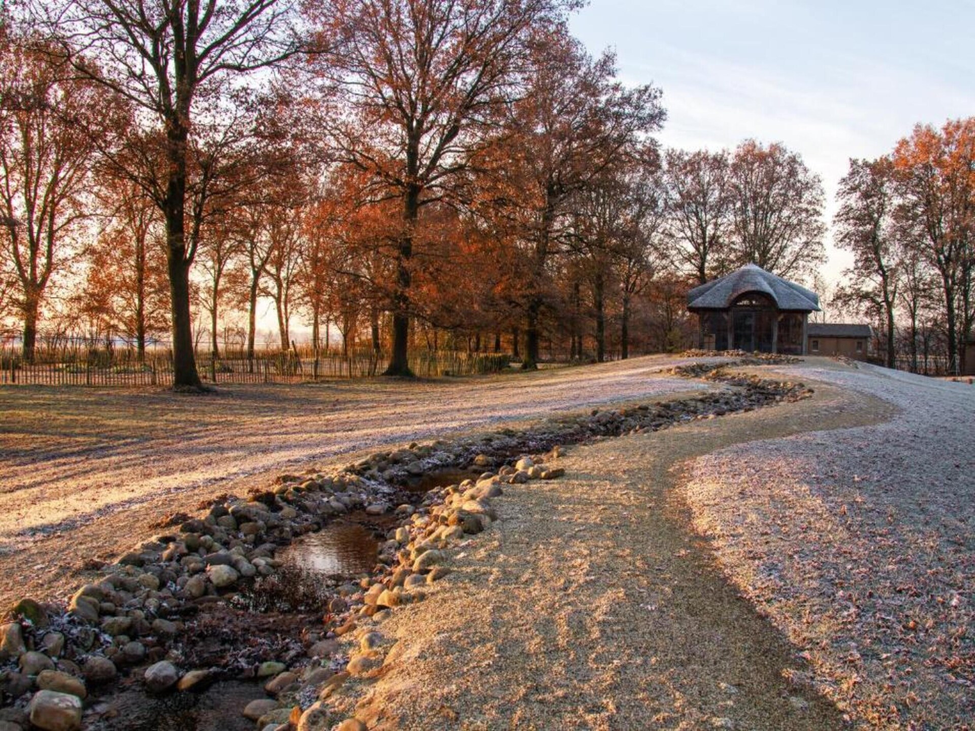 Safaritent met houten accenten op Vakantiepark Klein Vink, 4,5 km van Arcen - foto 19