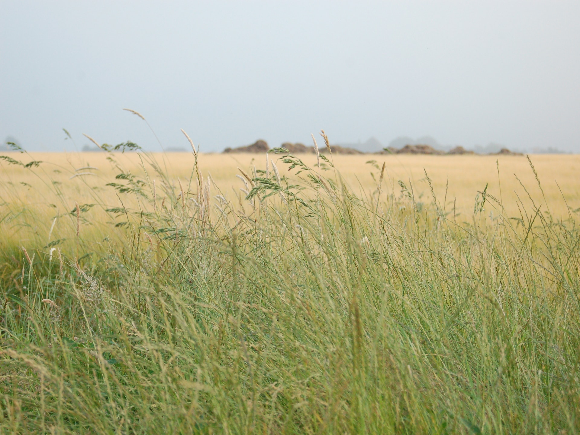Authentieke boerderij in Kustpark Texel, op 2 km van het strand - foto 19