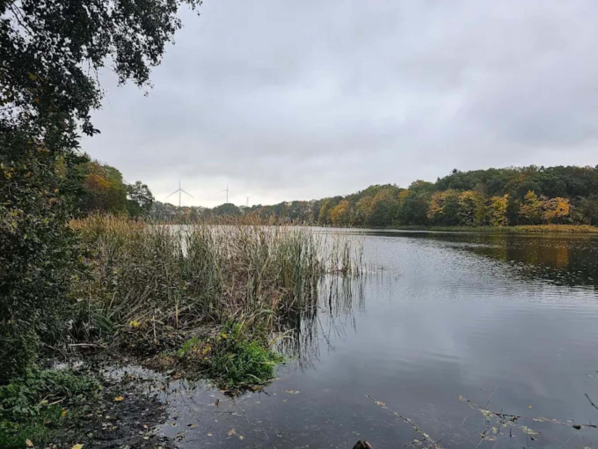 Koel tweekamerappartement aan de Vielbecker See, 12km van Oostzee - foto 34