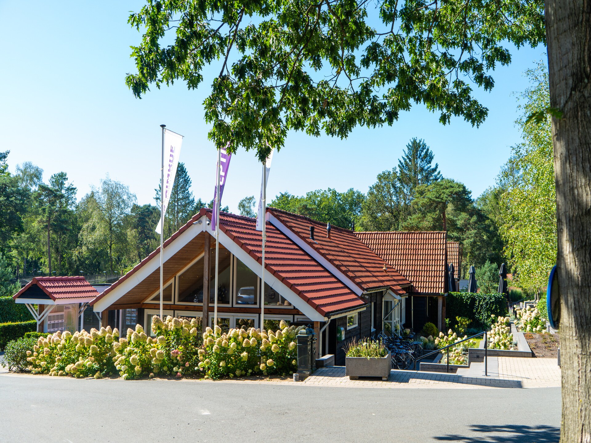 Vrijstaand 6-persoons chalet met tuin op Vakantiepark De Rimboe in Hoenderloo - foto 26