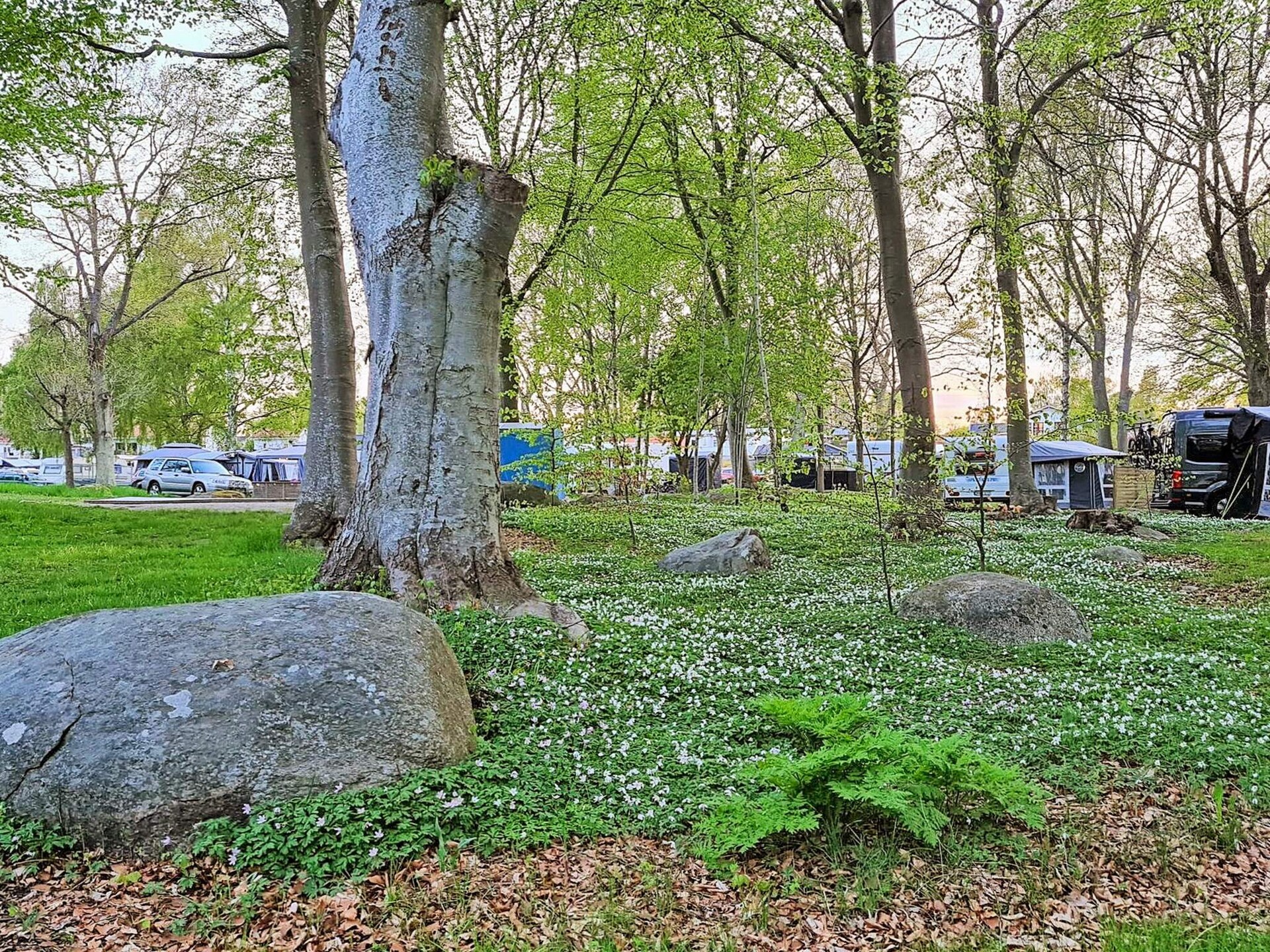 Aan het meer: Modern vakantiehuis in Sölvesborg voor 5 personen - foto 21