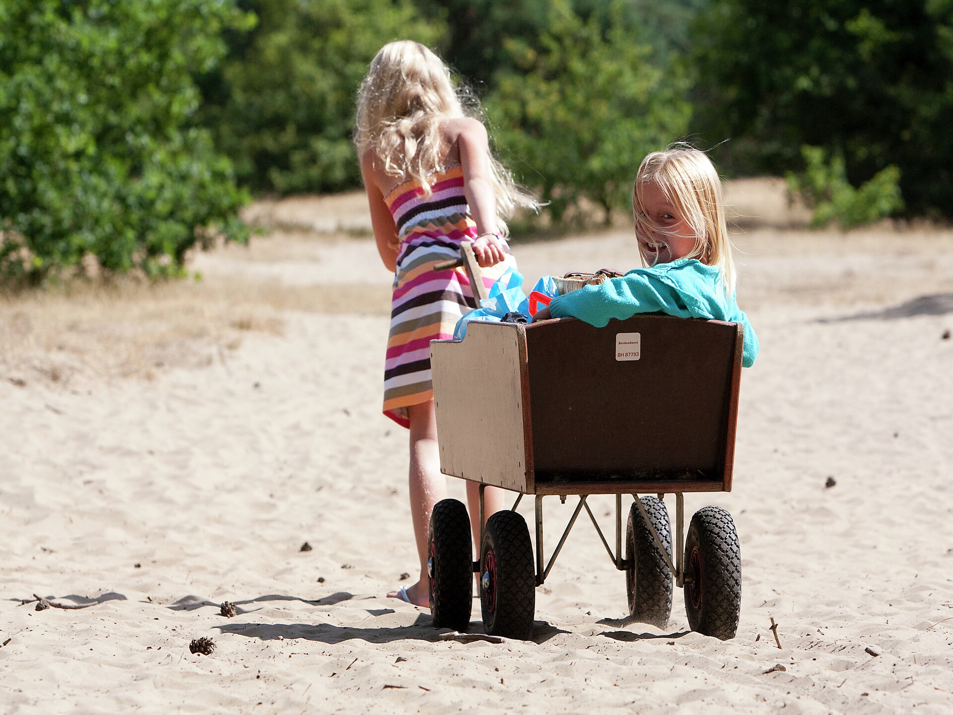 Gereno­veerde familiebungalow op de Veluwe, honden welkom bij Kootwijkerzand - foto 28
