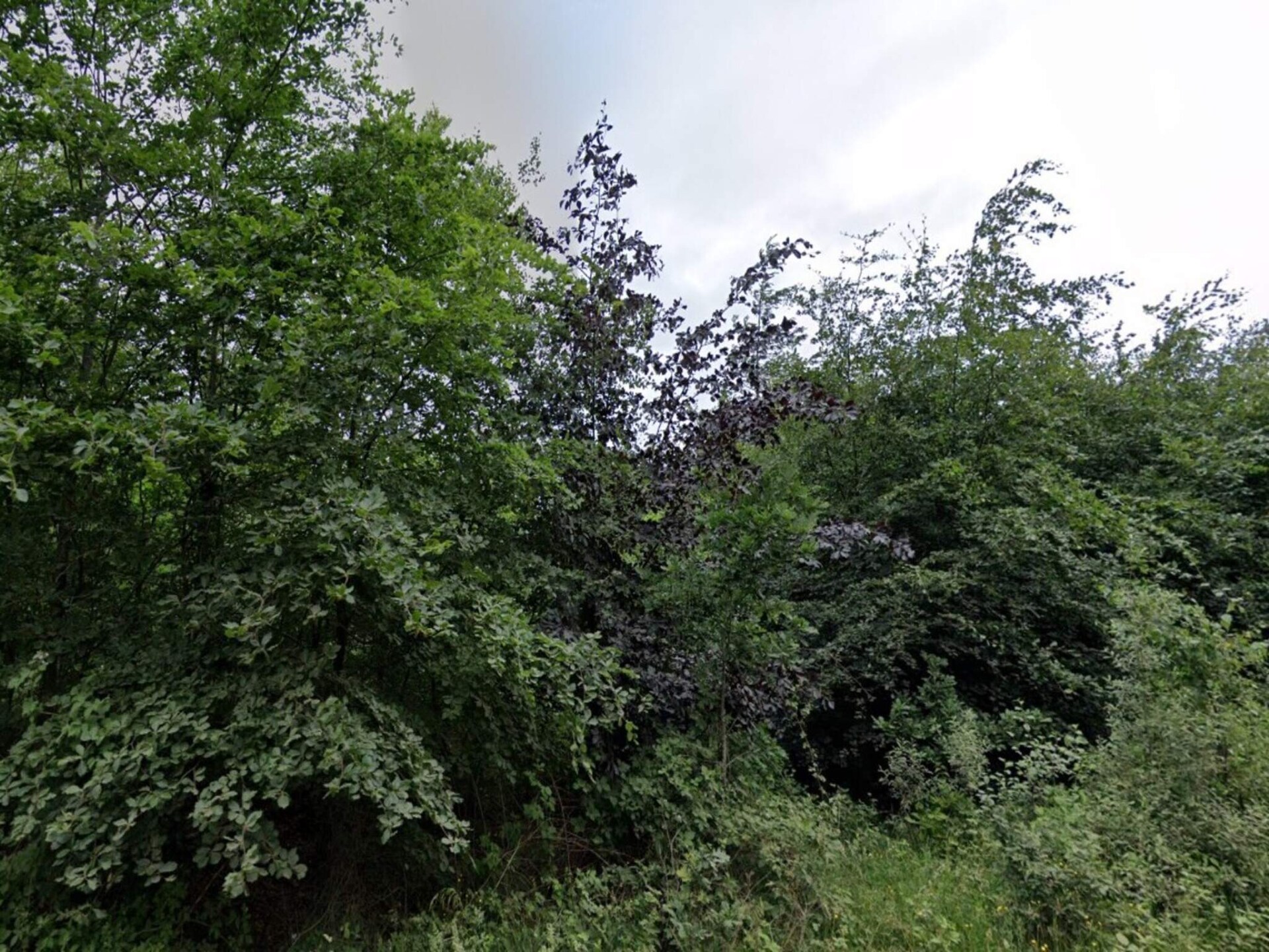 Knus vrijstaand vakantiehuis met wintertuin nabij Skærbæk - foto 15