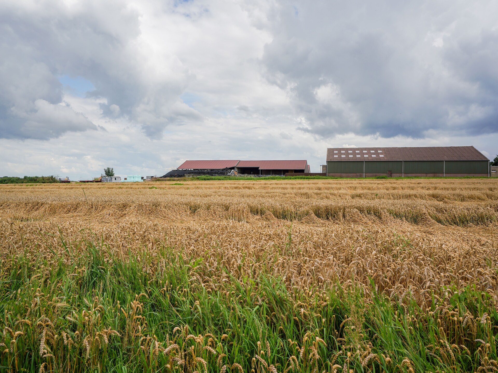 Casa Acacia: sfeervolle bungalow in rustige omgeving van Landgraaf - foto 29