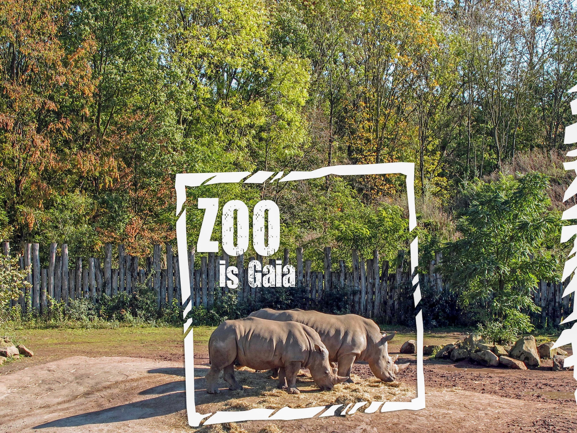 Casa Acacia: sfeervolle bungalow in rustige omgeving van Landgraaf - foto 28