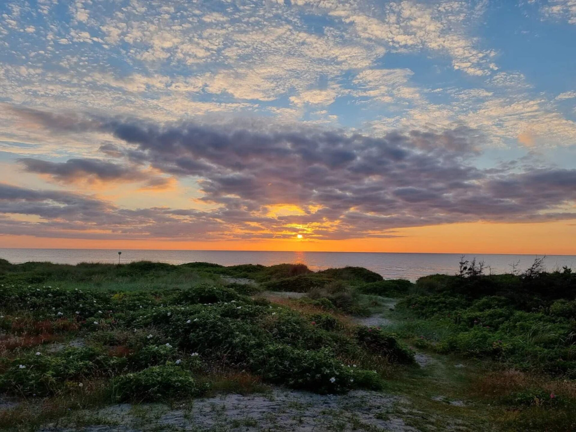 6-persoons vakantiehuis in Vejby op 1,1 km van de zee - foto 5