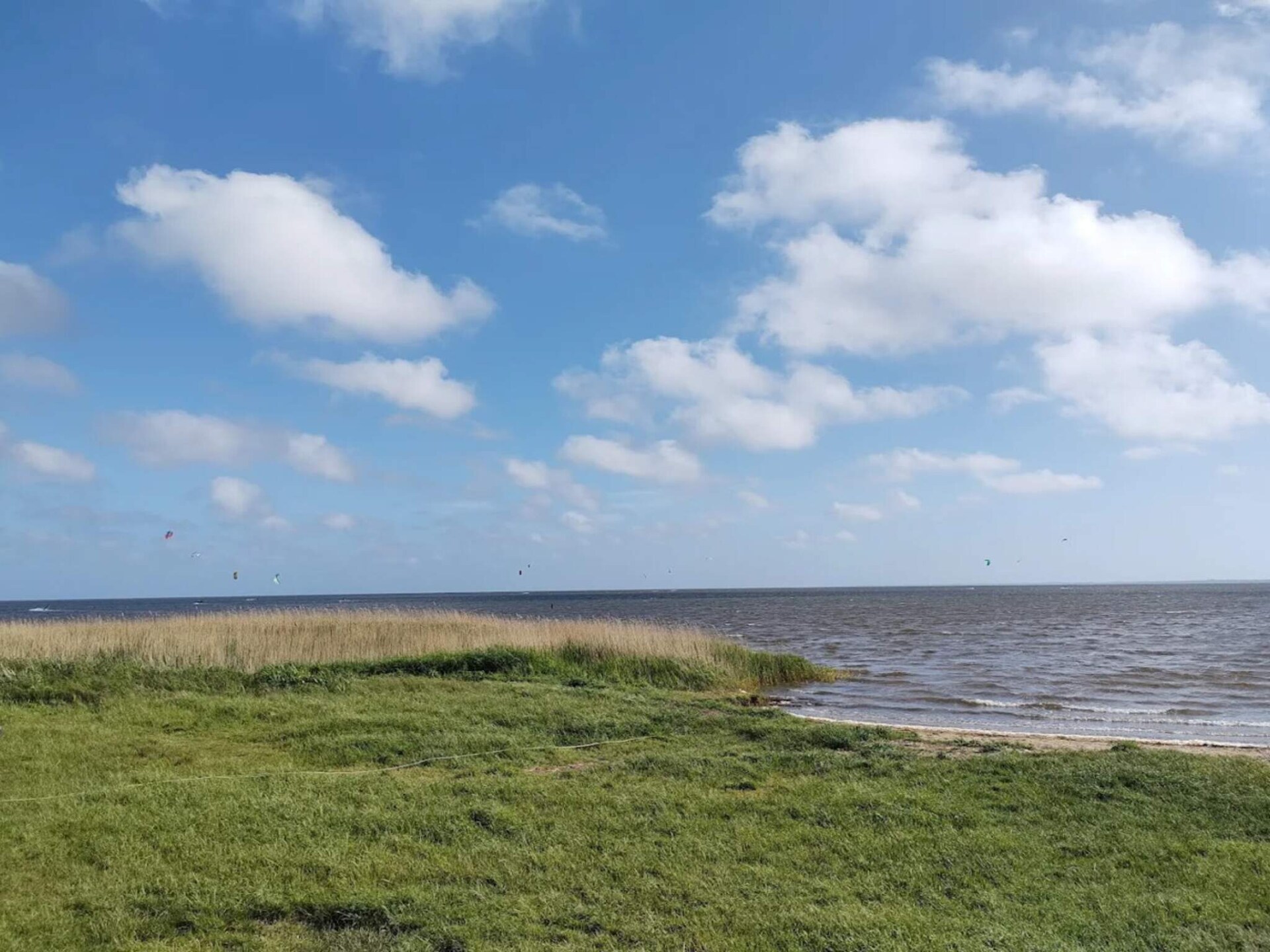 4-persoons appartement aan zee in Ringkøbing - foto 20