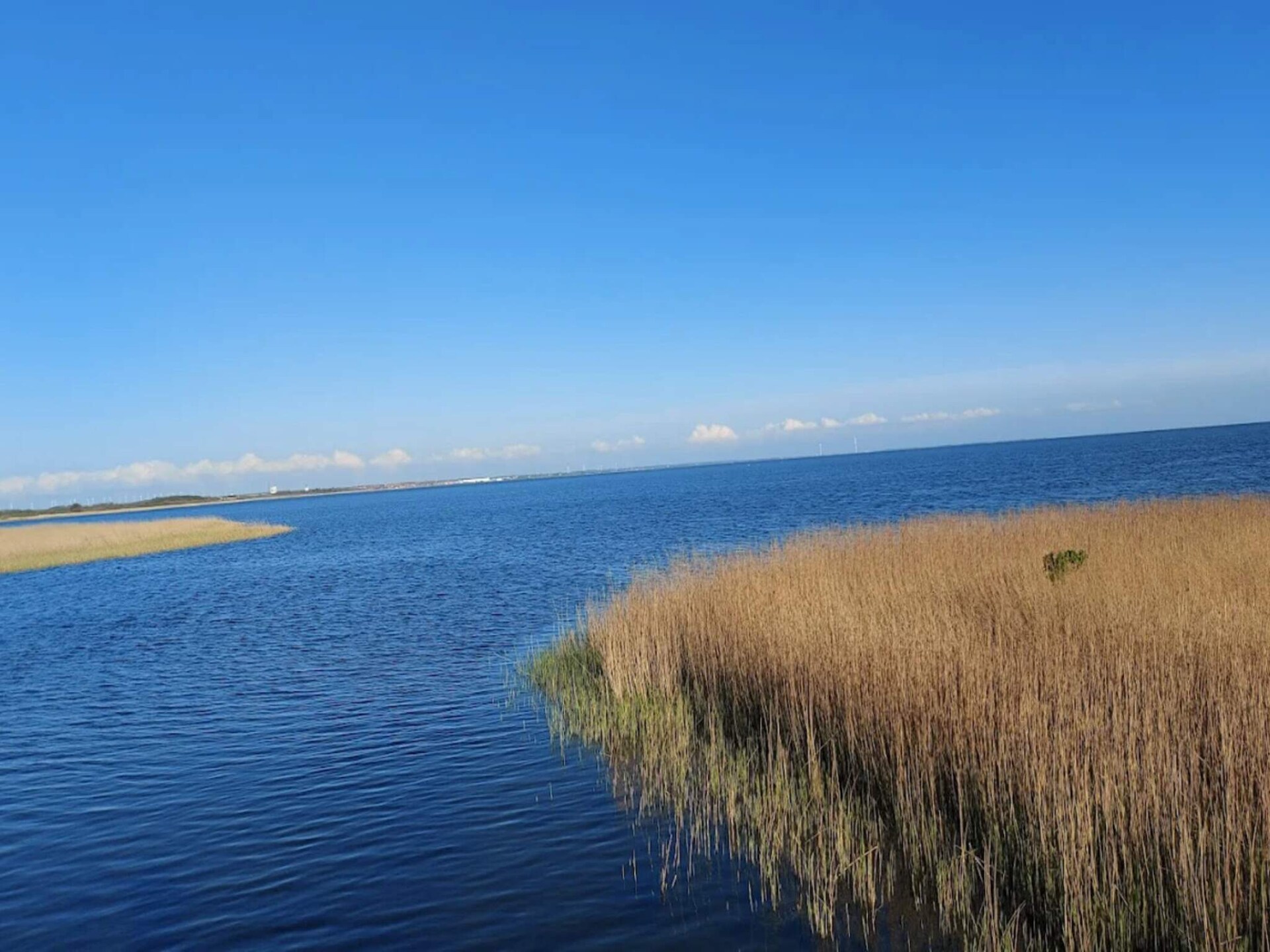 4-persoons appartement aan zee in Ringkøbing - foto 32
