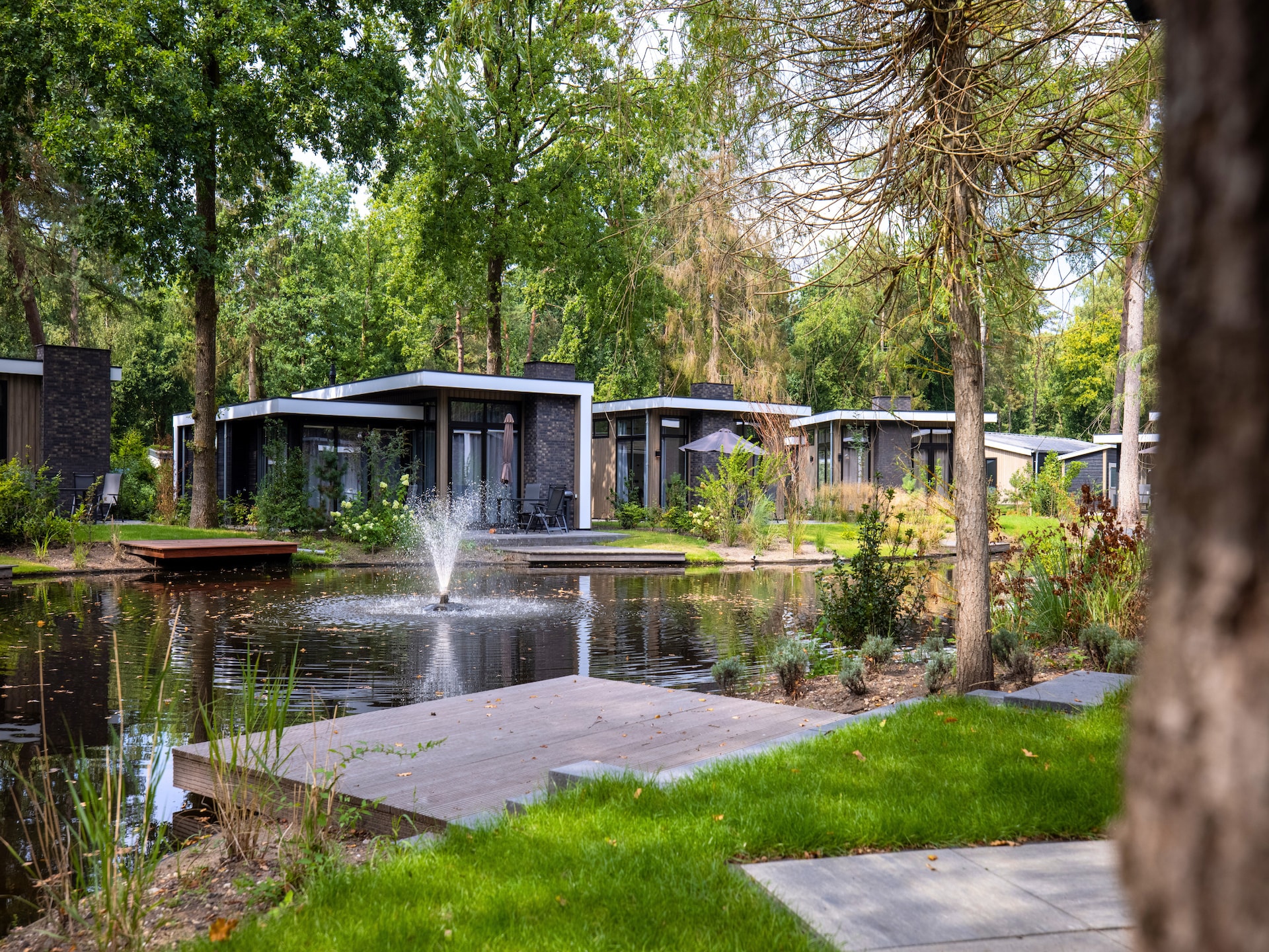 Vrijstaand boshuis op de Veluwe met terras en zwembadtoegang - foto 28