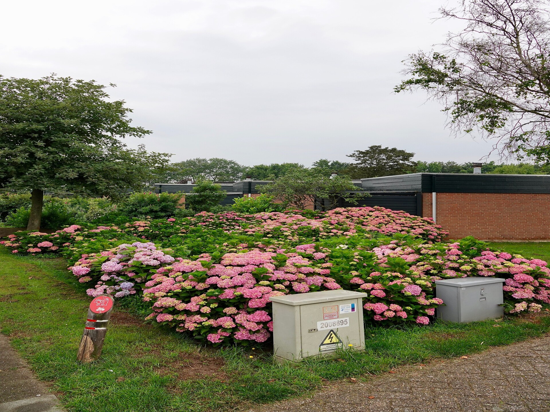 Calm Breeze: stijlvol vakantiehuis bij strand en tulpenvelden - foto 18