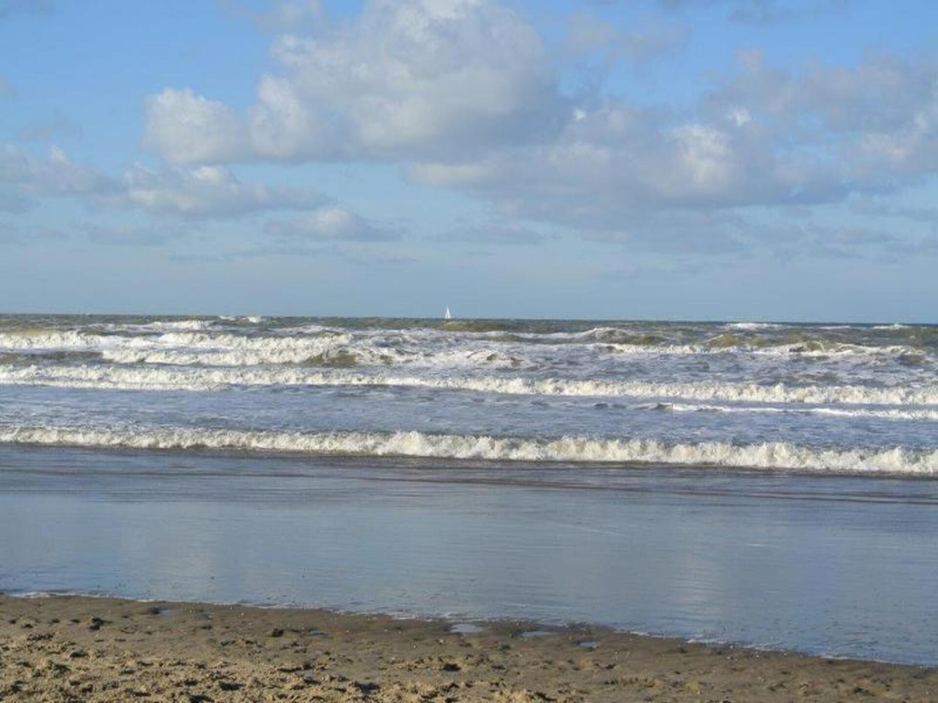 Calm Breeze: stijlvol vakantiehuis bij strand en tulpenvelden - foto 31
