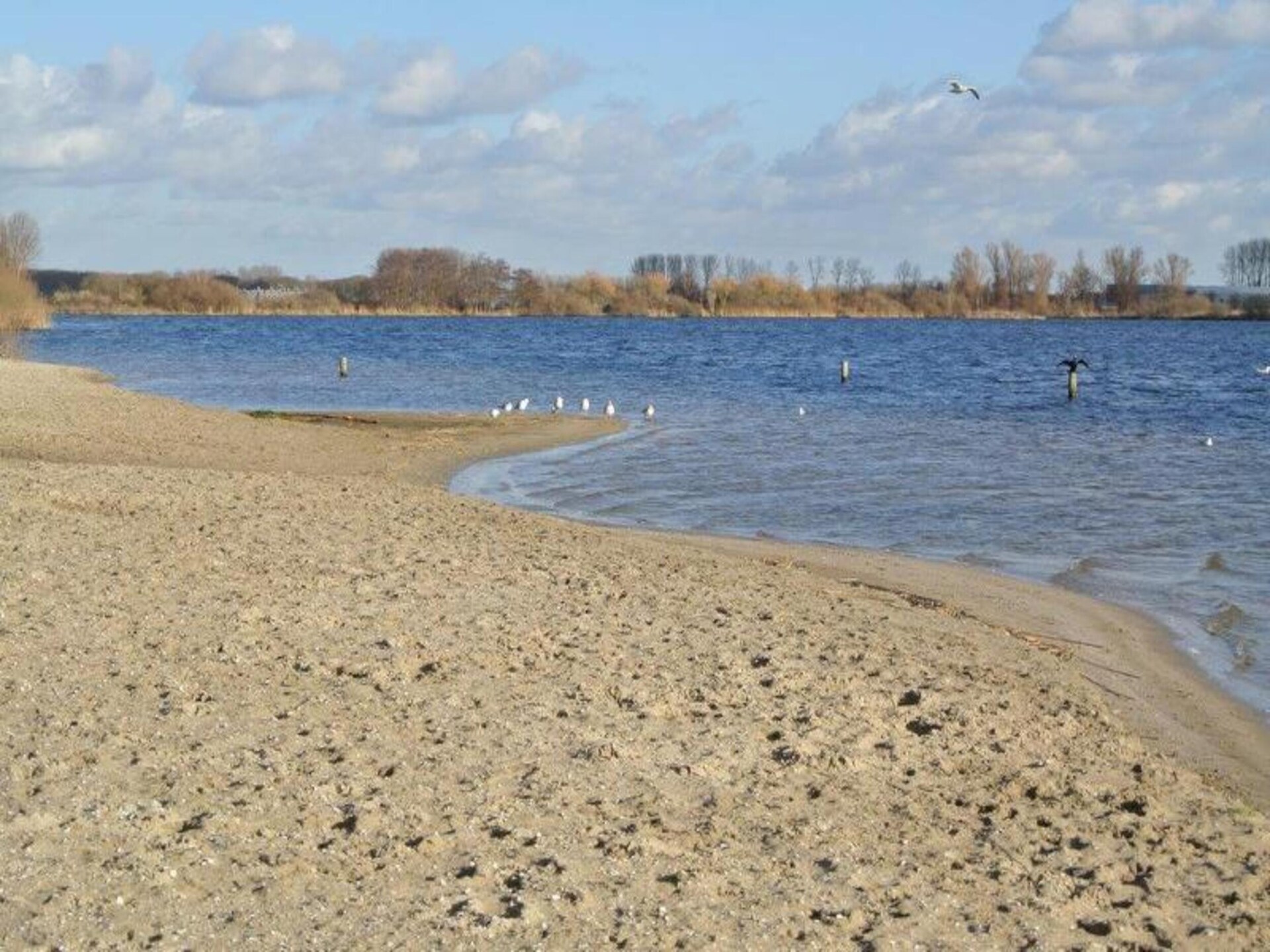 Calm Breeze: stijlvol vakantiehuis bij strand en tulpenvelden - foto 35