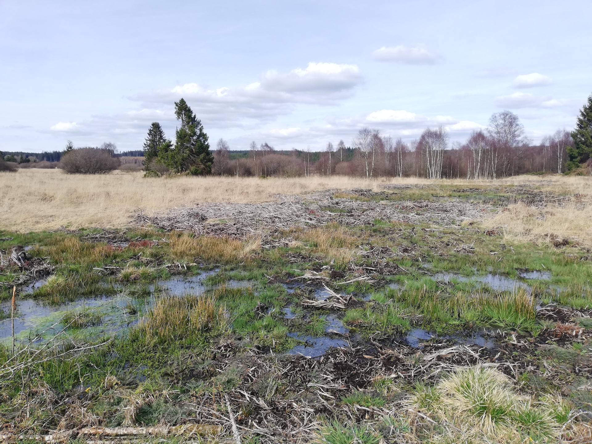 Rustgevend vakantiehuis Le Coeur Des Fagnes in Sourbrodt - foto 36