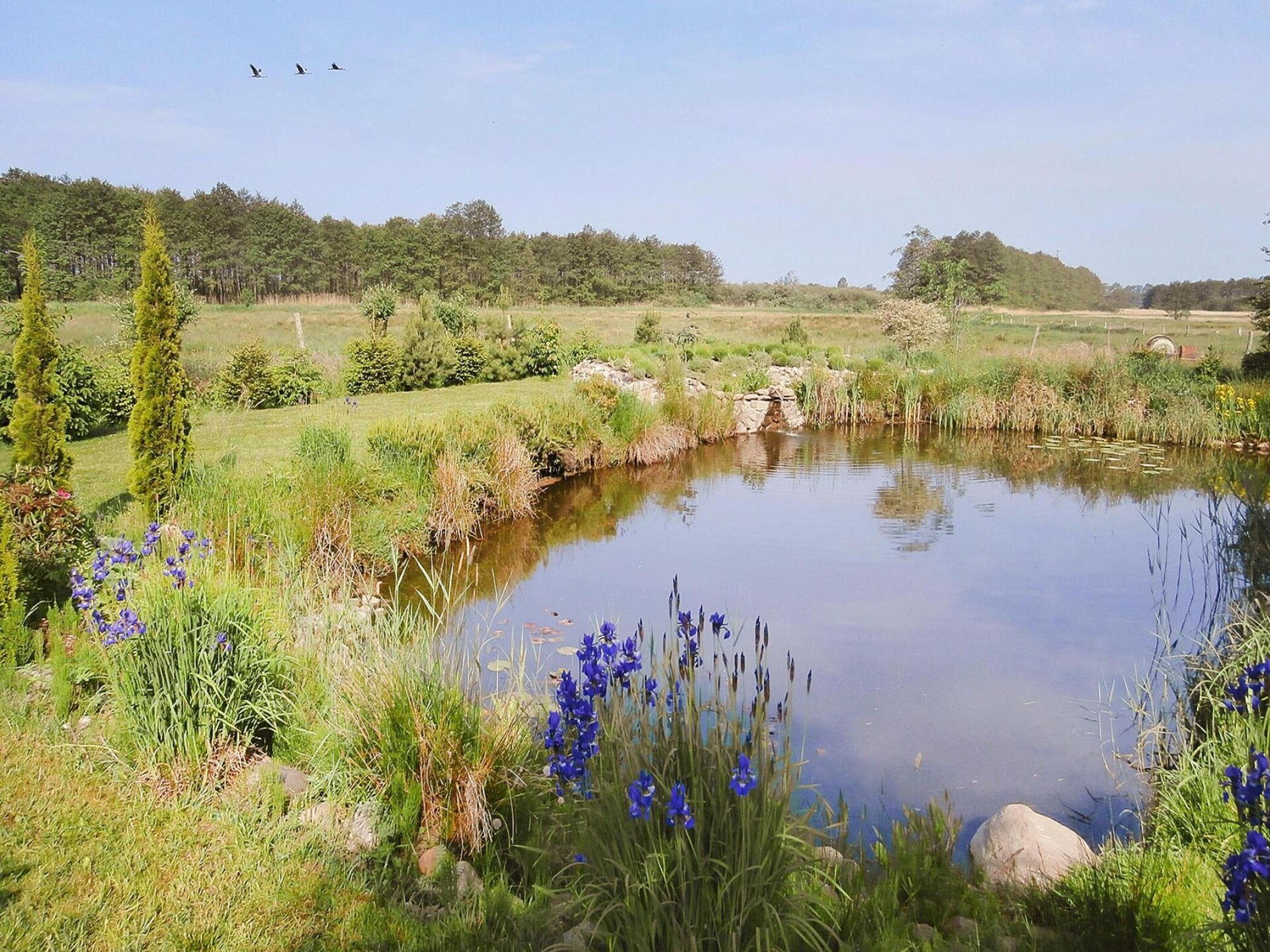 Comfortabel vakantieappartement in rustige omgeving nabij Kołobrzeg - foto 17