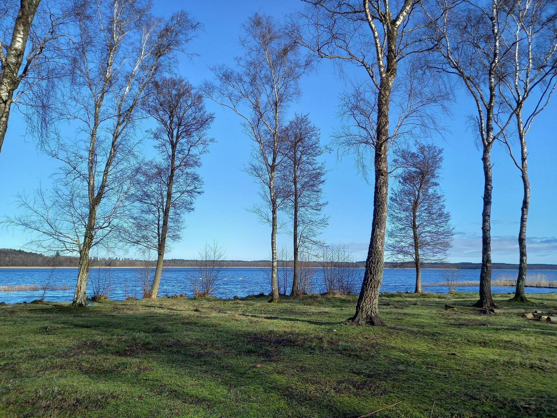 Vrijstaand vakantiehuis met panoramisch uitzicht op de baai van Ebeltoft - foto 2