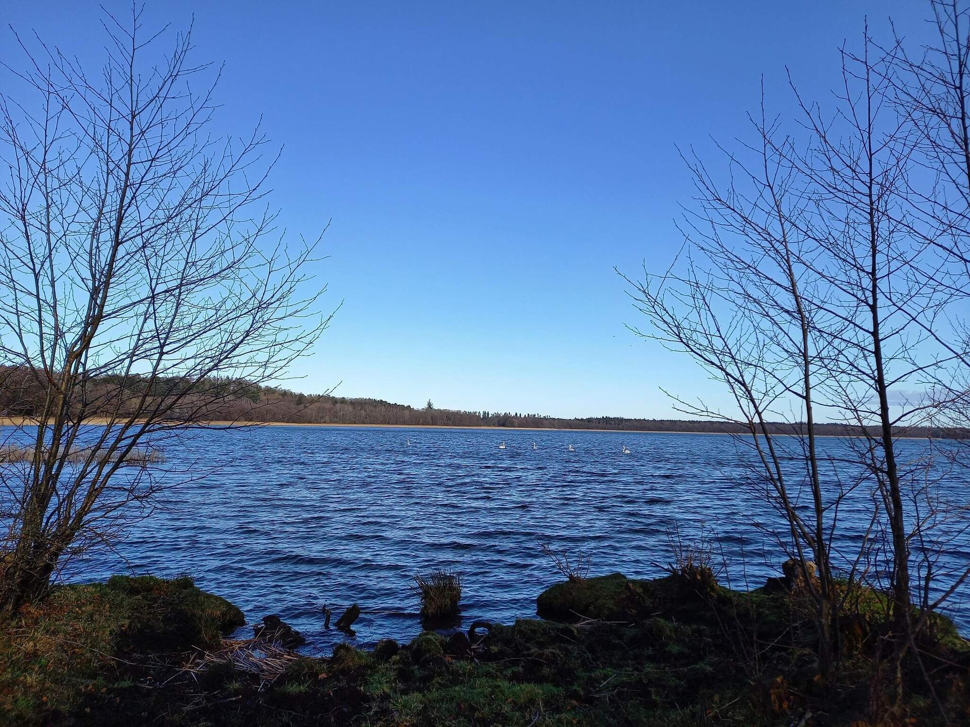 Vrijstaand vakantiehuis met panoramisch uitzicht op de baai van Ebeltoft - foto 9