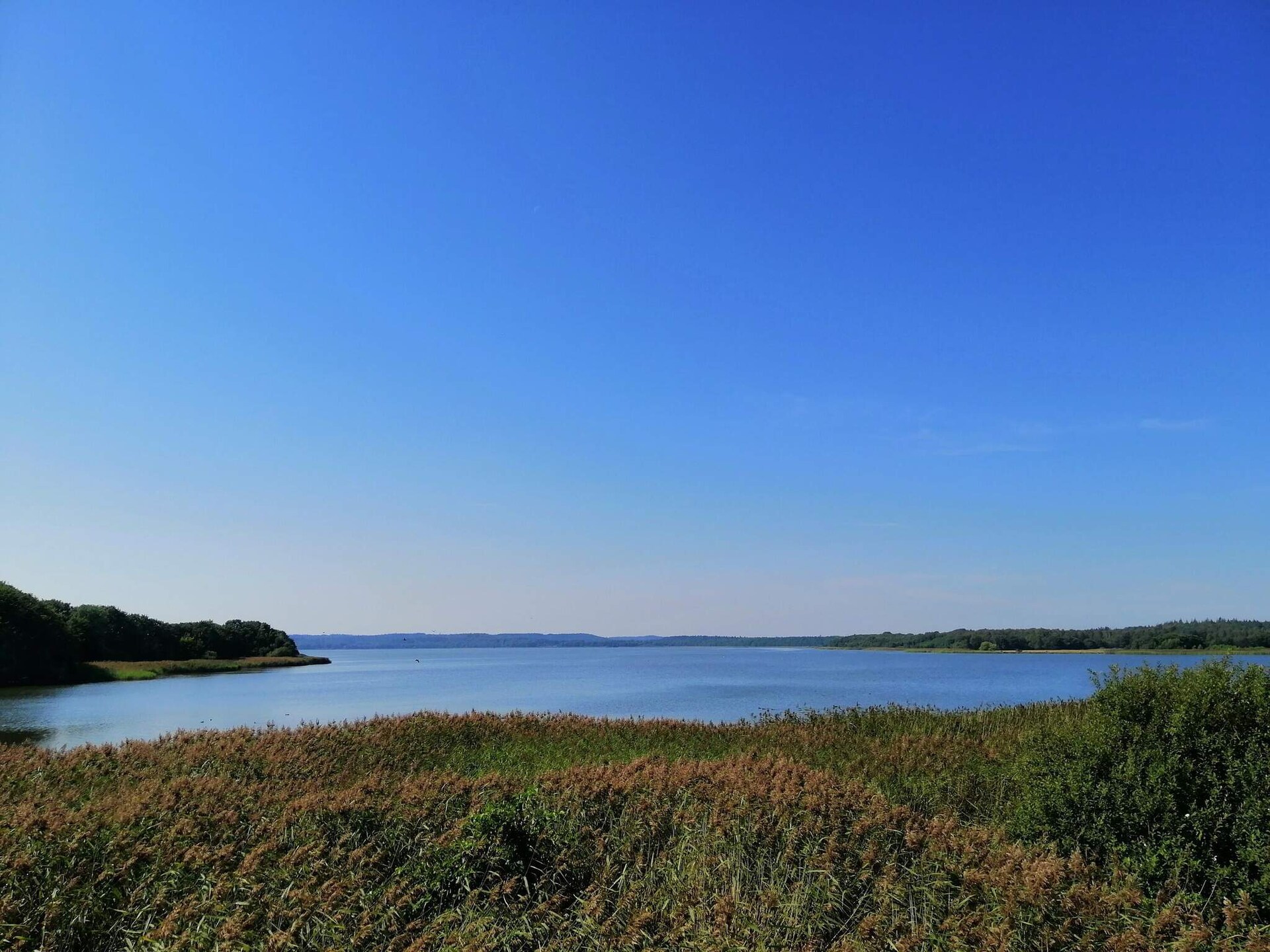 Vrijstaand vakantiehuis met panoramisch uitzicht op de baai van Ebeltoft - foto 10