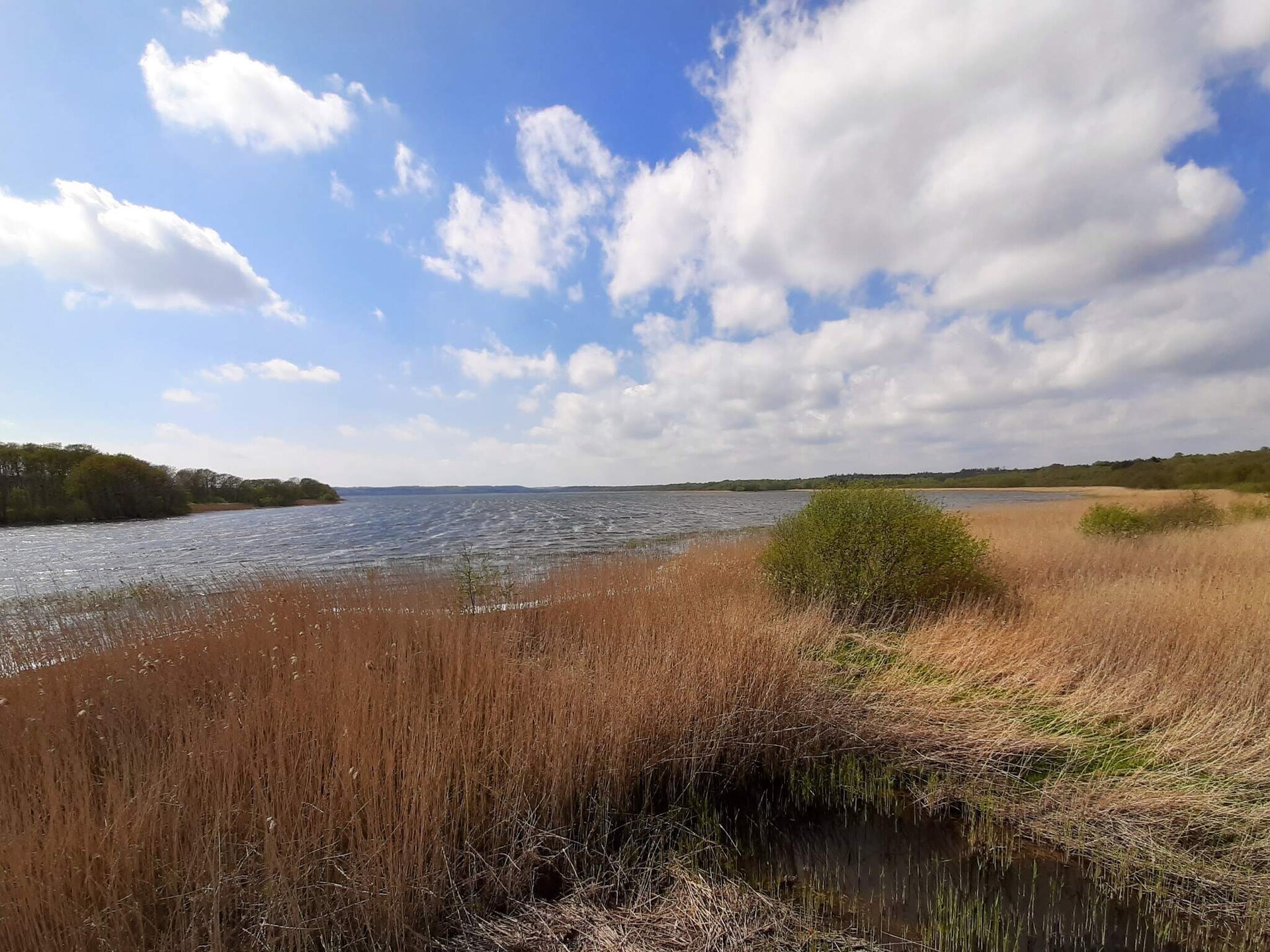 Vrijstaand vakantiehuis met panoramisch uitzicht op de baai van Ebeltoft - foto 12